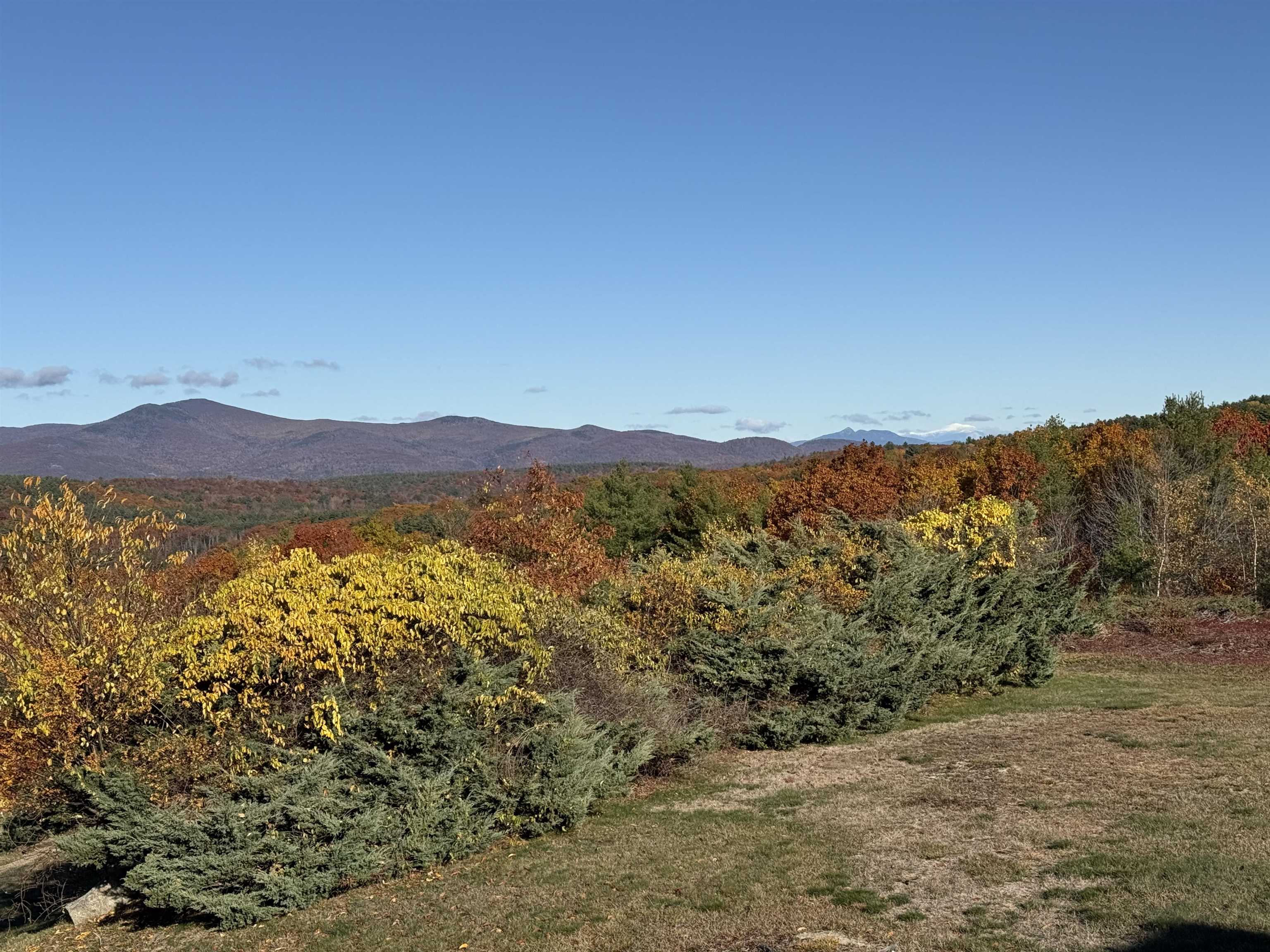 MLS #5049834 image #11