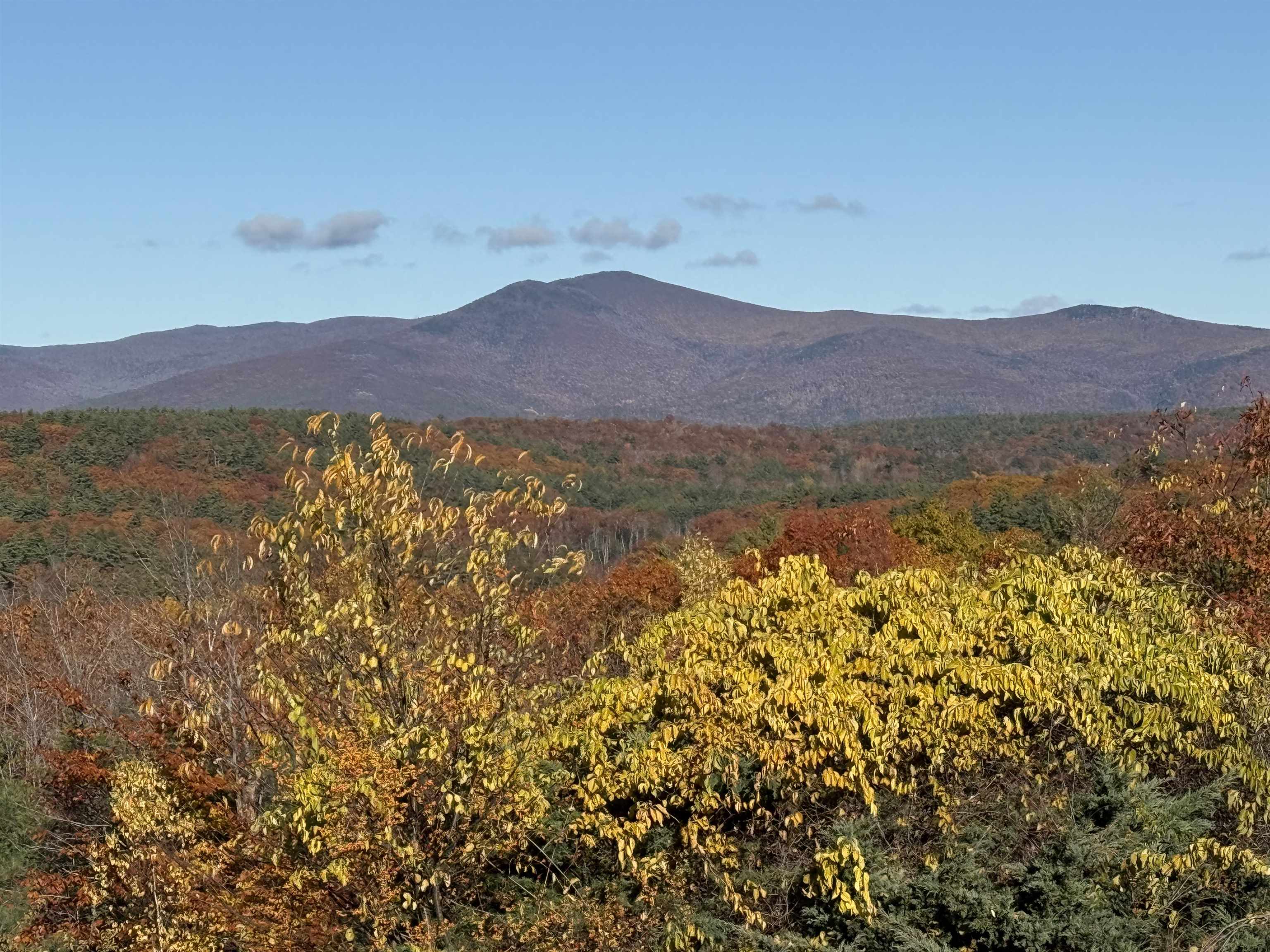 MLS #5049834 image #14