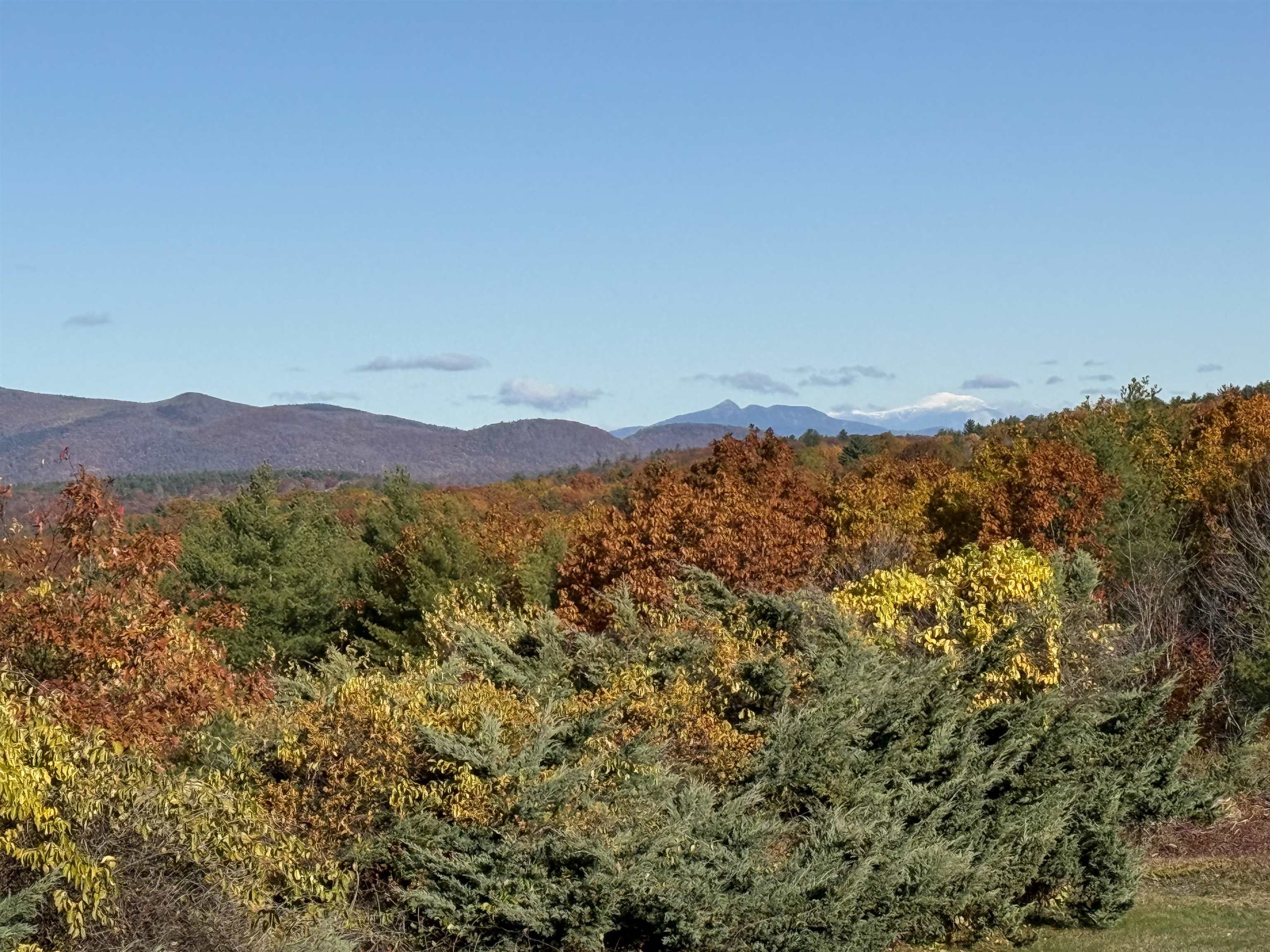 MLS #5049834 image #2