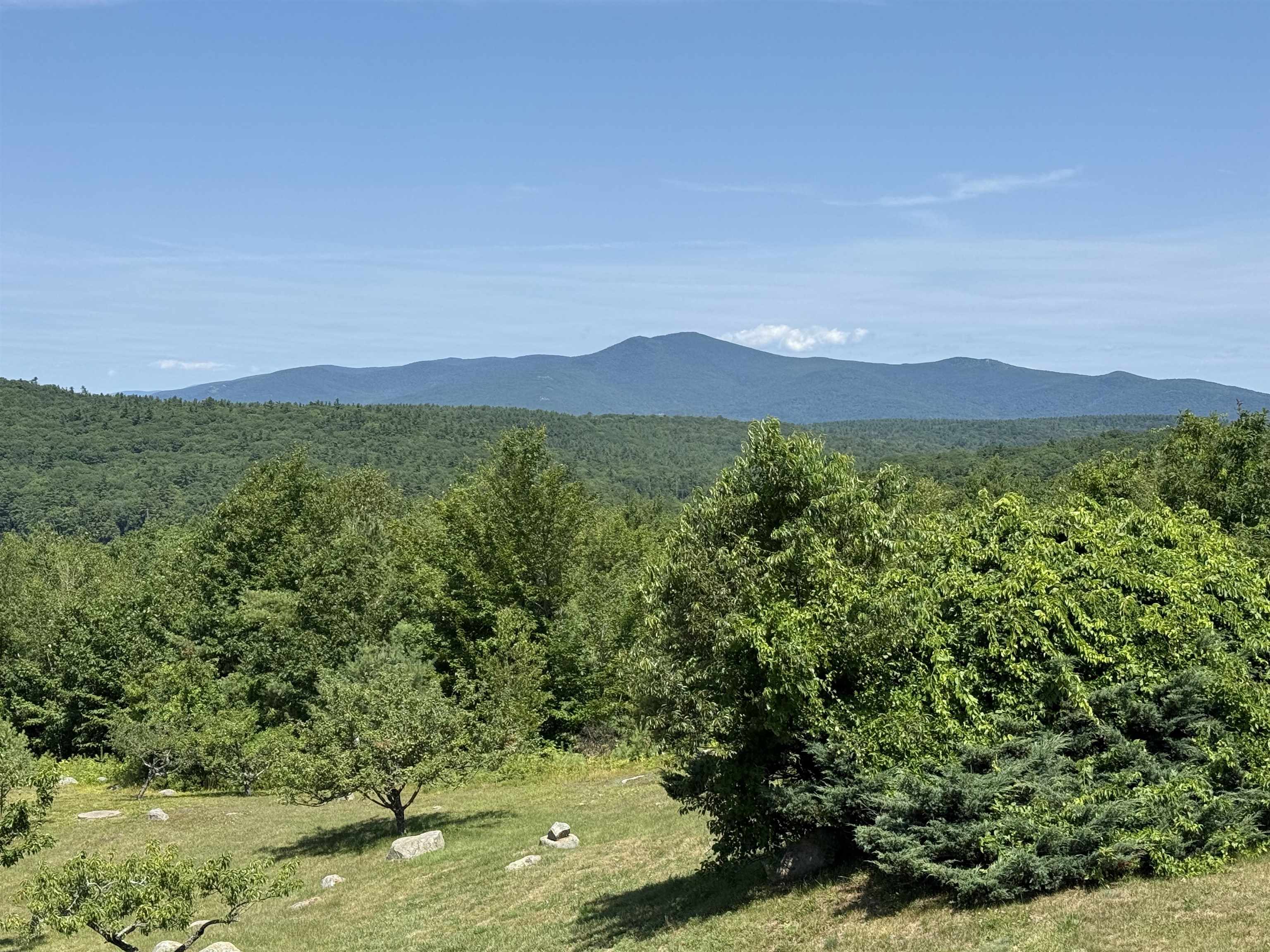 MLS #5049834 image #3