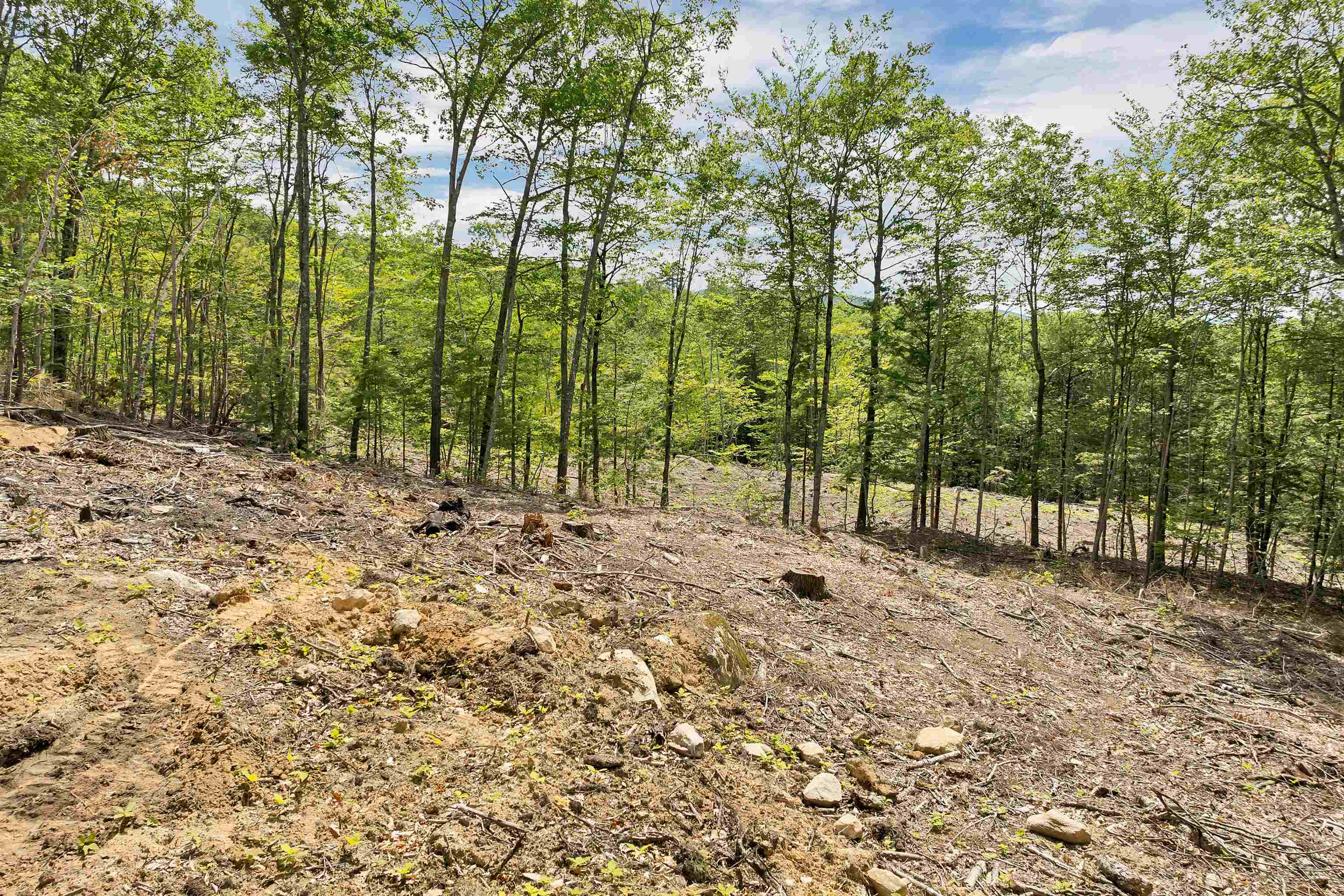 0 Innsbruck Dr, New Durham, NH 03855