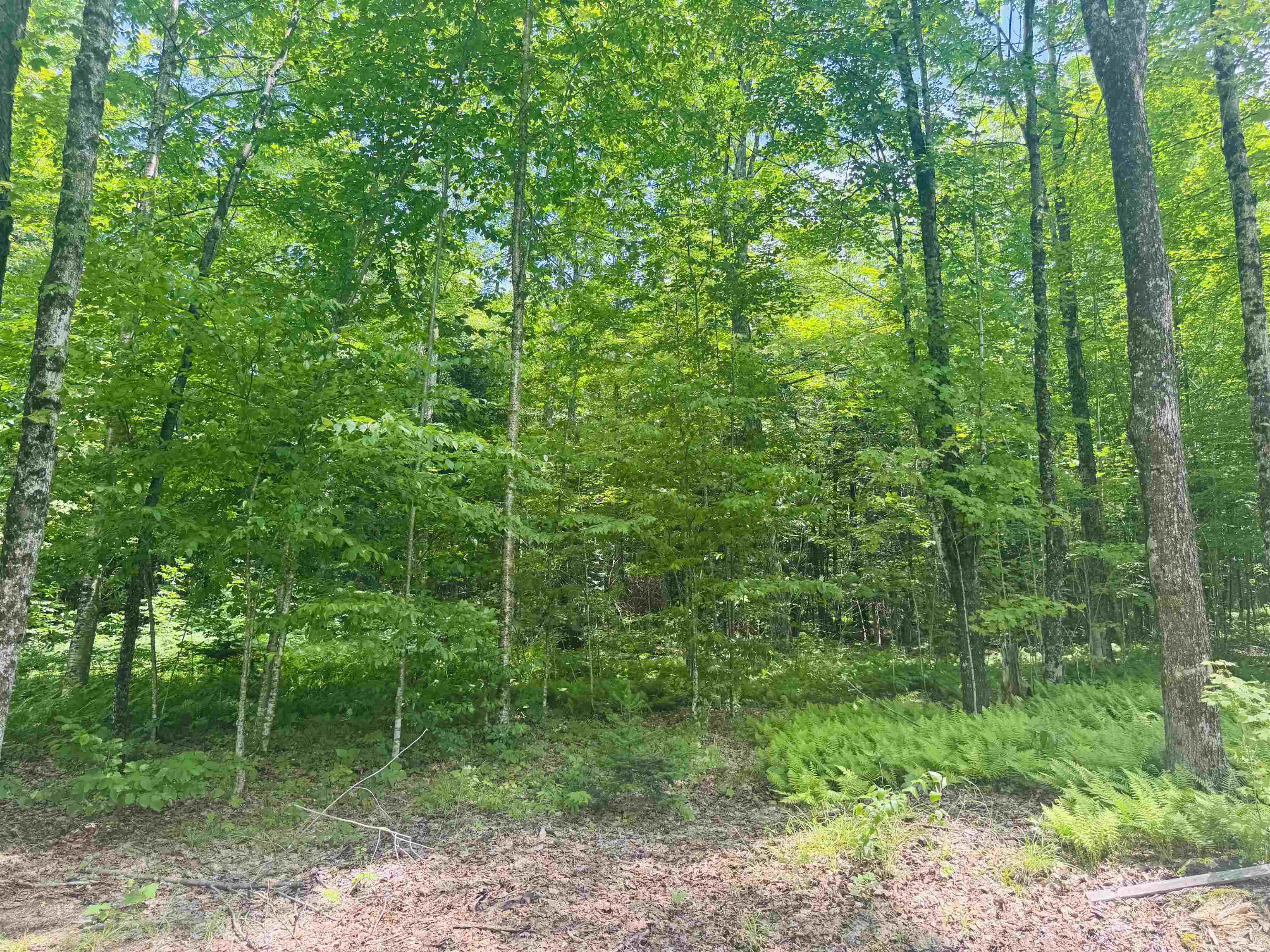 Homes for sale in Morgan, VT | 27 Birch Point S Rd, Morgan, VT 05853 | MLS# 5049943