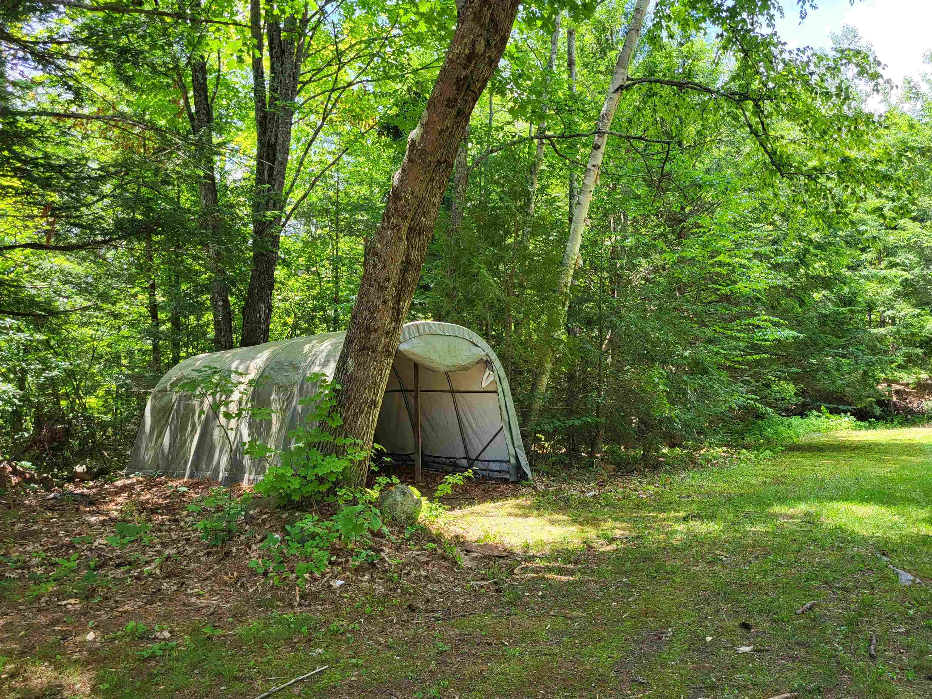 MLS #5049968 image #43