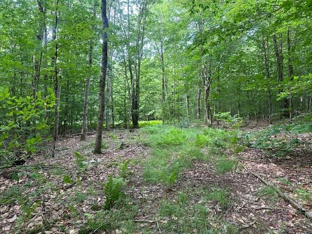 Homes for sale in Belvidere, VT | 1430 Back Rd, Belvidere, VT 05442 | MLS# 5050018