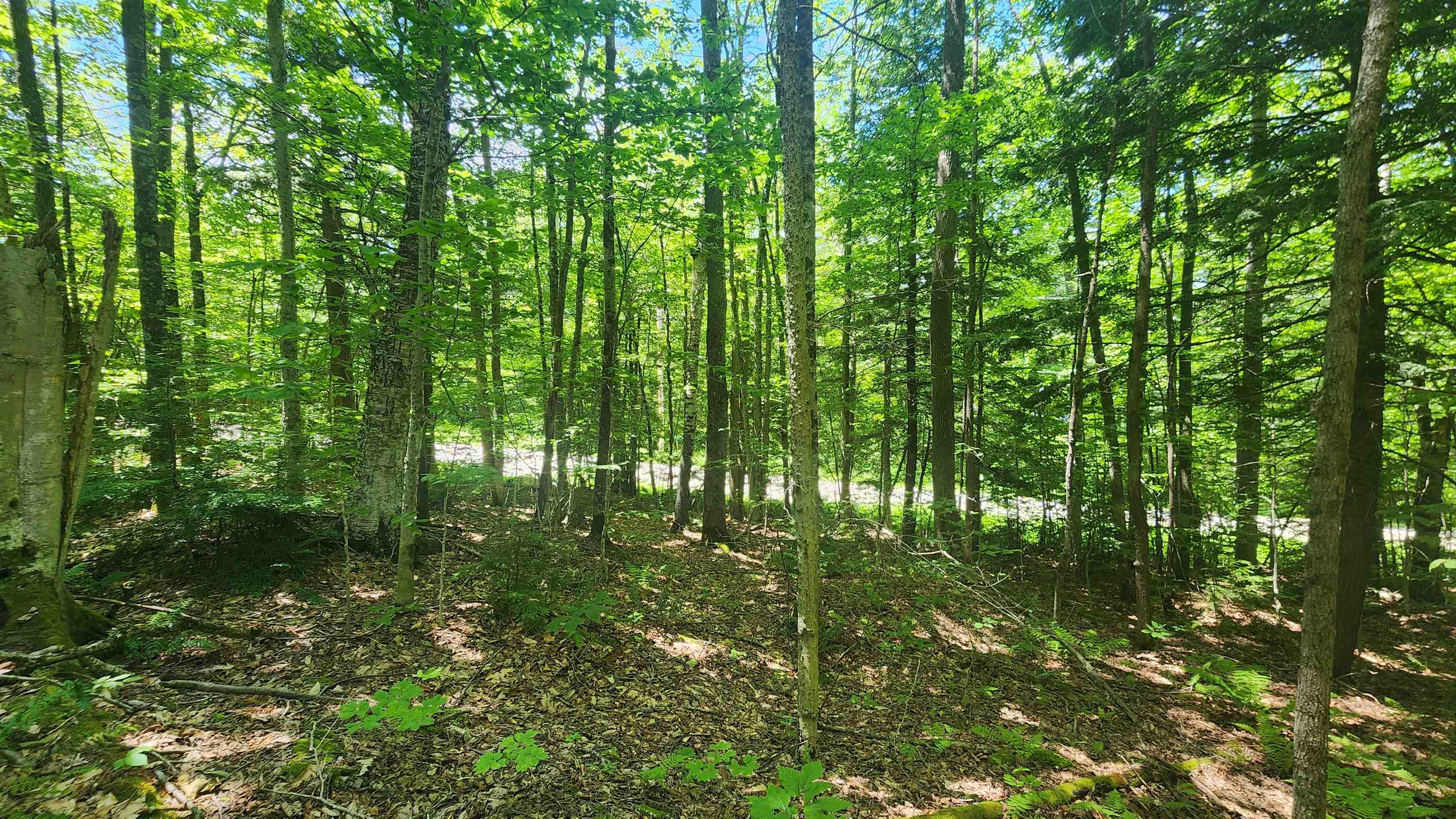 Homes for sale in Andover, VT | 00 Hill Crest Rd, Andover, VT 05143 | MLS# 5050025