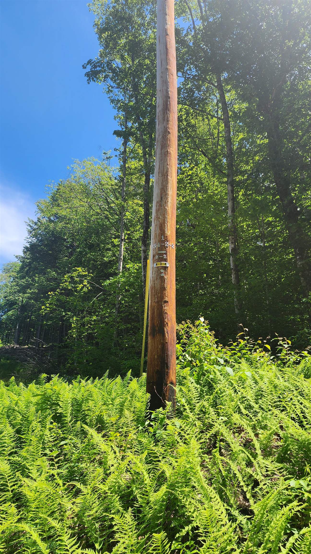 Homes for sale in Andover, VT | 00 Hill Crest Rd, Andover, VT 05143 | MLS# 5050025