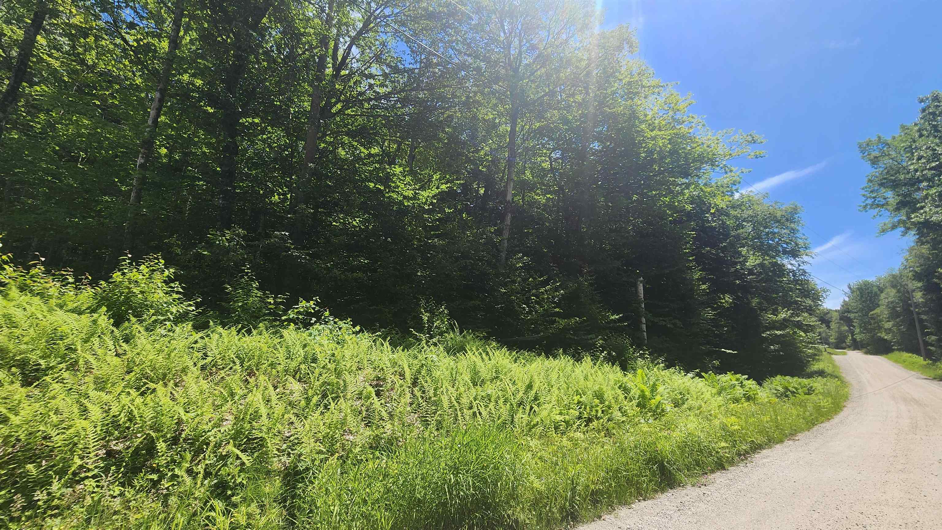 Homes for sale in Andover, VT | 00 Hill Crest Rd, Andover, VT 05143 | MLS# 5050025