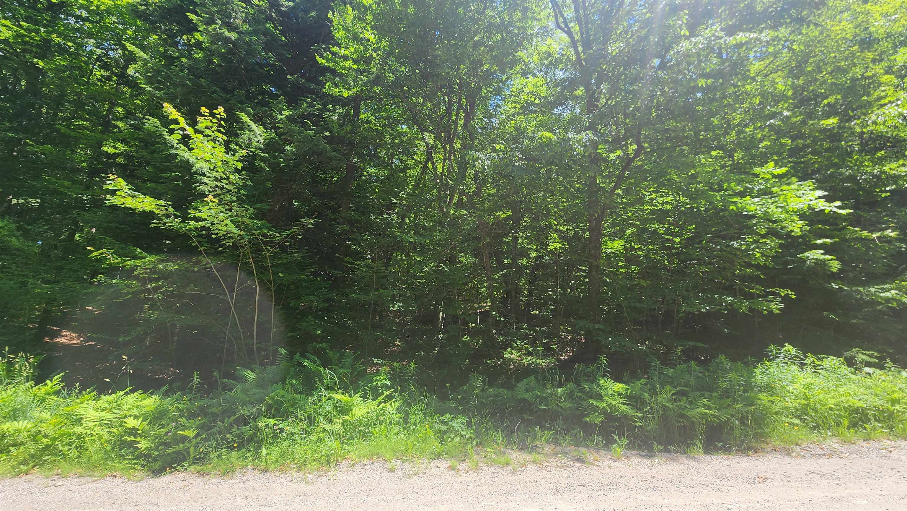 Homes for sale in Andover, VT | 00 Hill Crest Rd, Andover, VT 05143 | MLS# 5050025