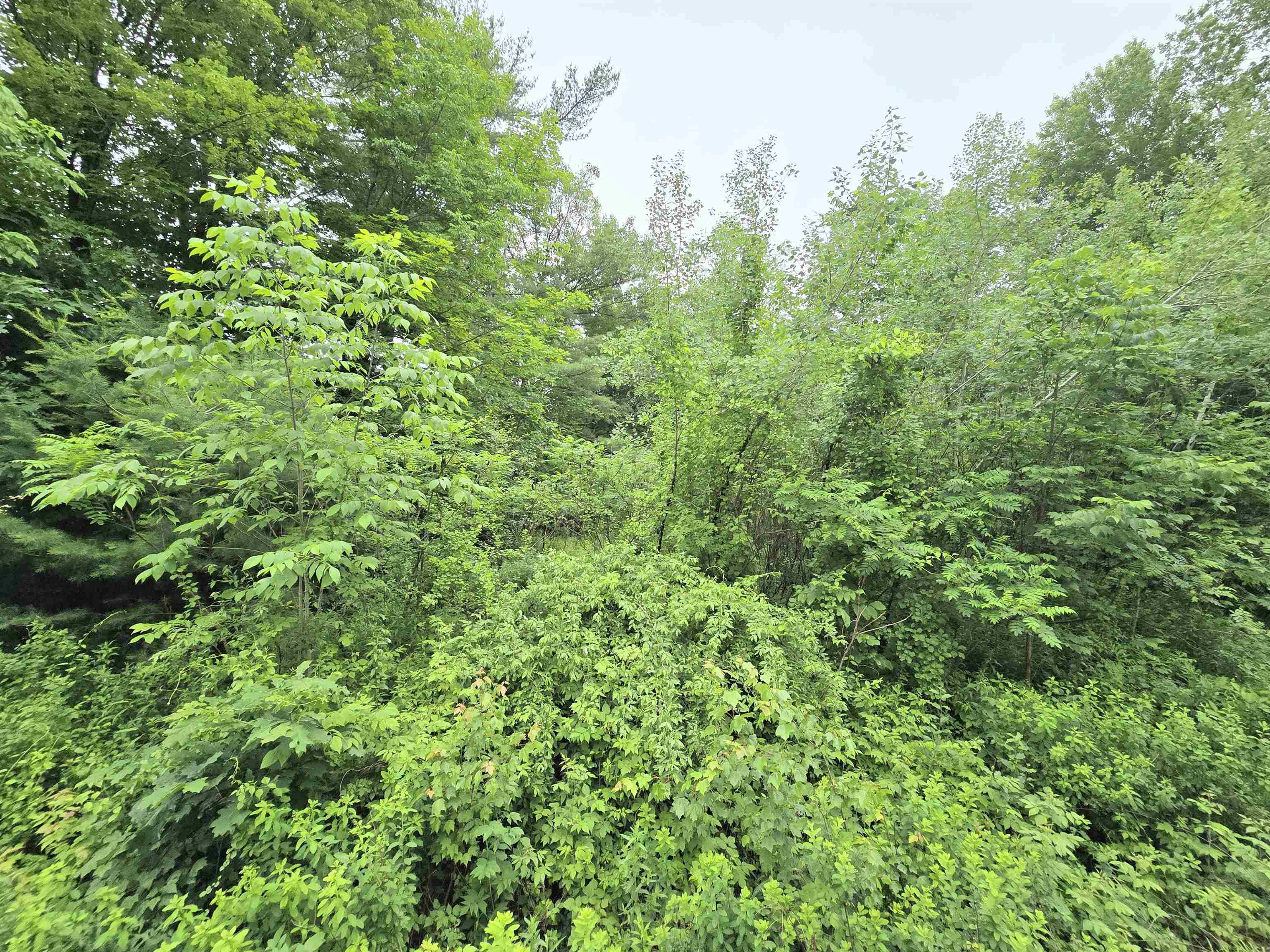 Homes for sale in Rochester, NH | 0 Washington St, Rochester, NH 03839 | MLS# 5050038