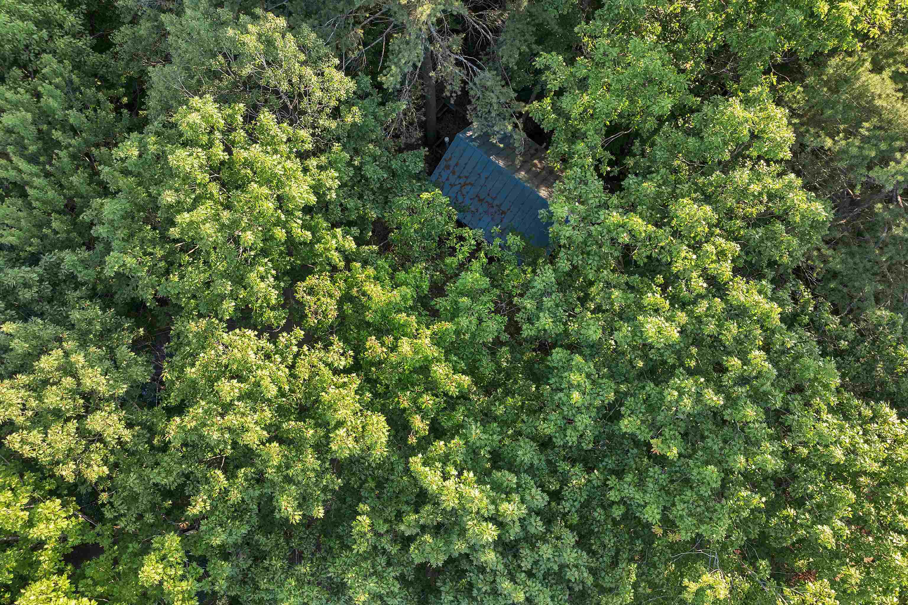 MLS #5050067 image #4