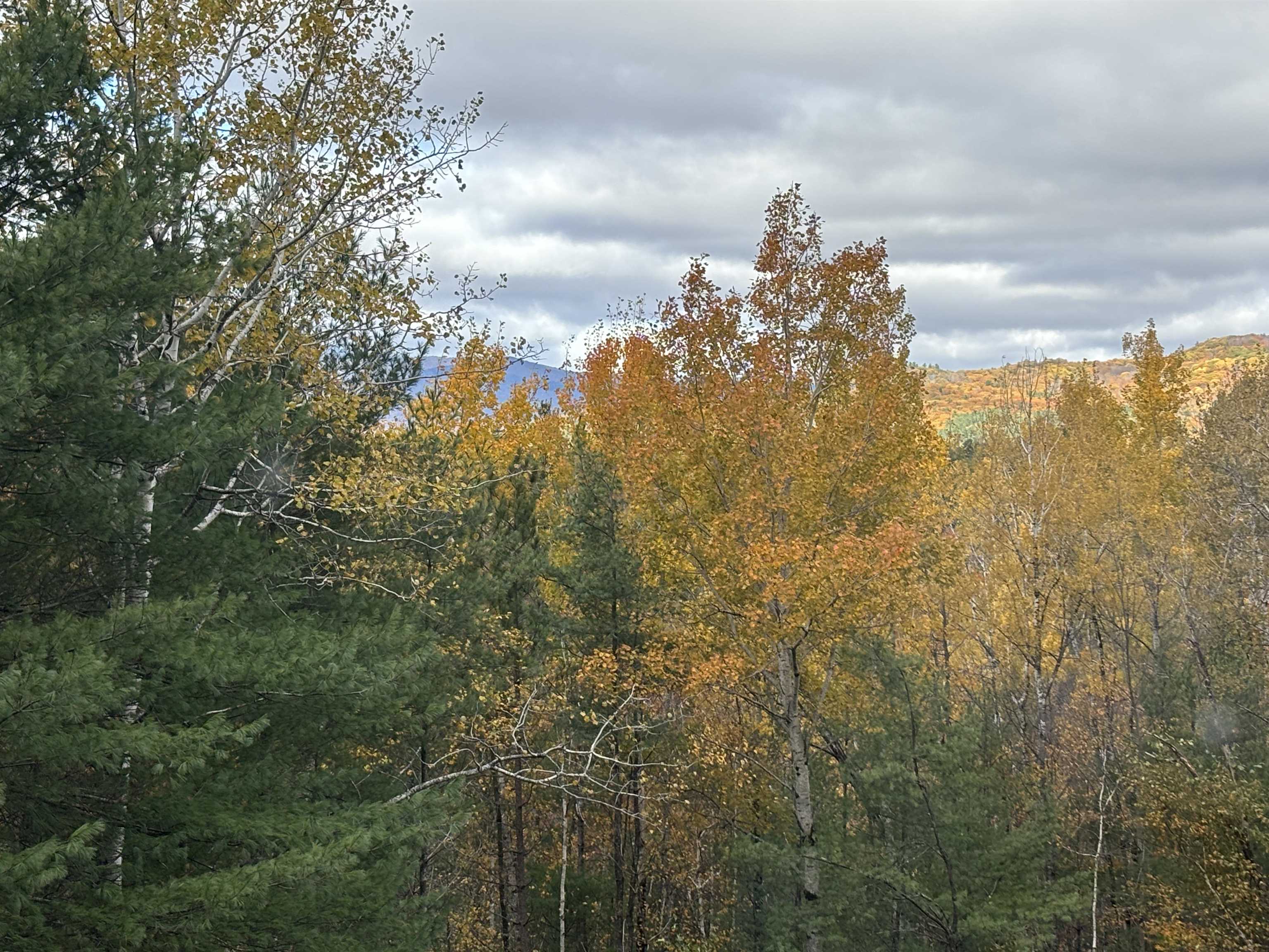 MLS #5050072 image #32