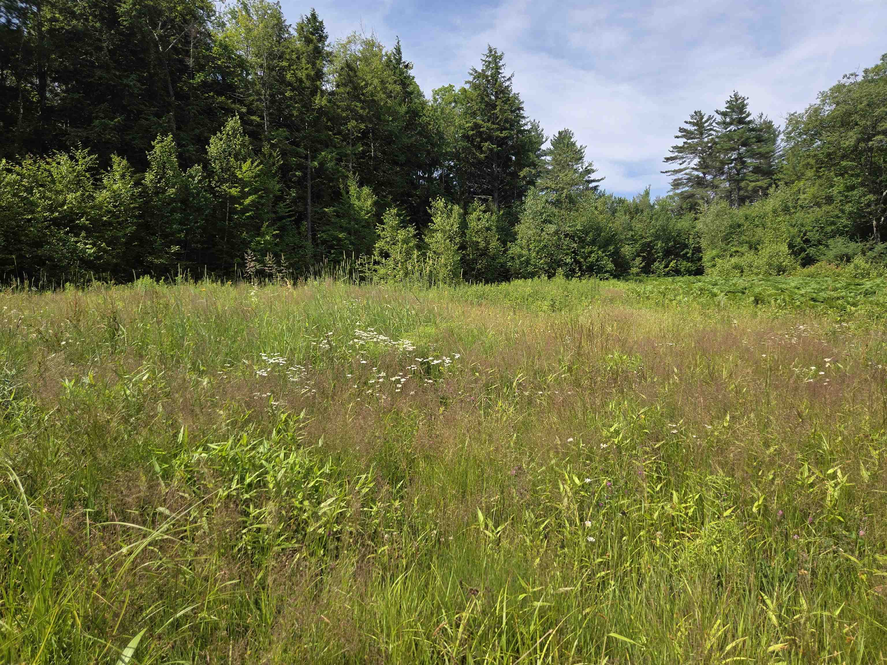 Homes for sale in Wilmot, NH | 49 Pedrick Rd, Wilmot, NH 03287 | MLS# 5050082