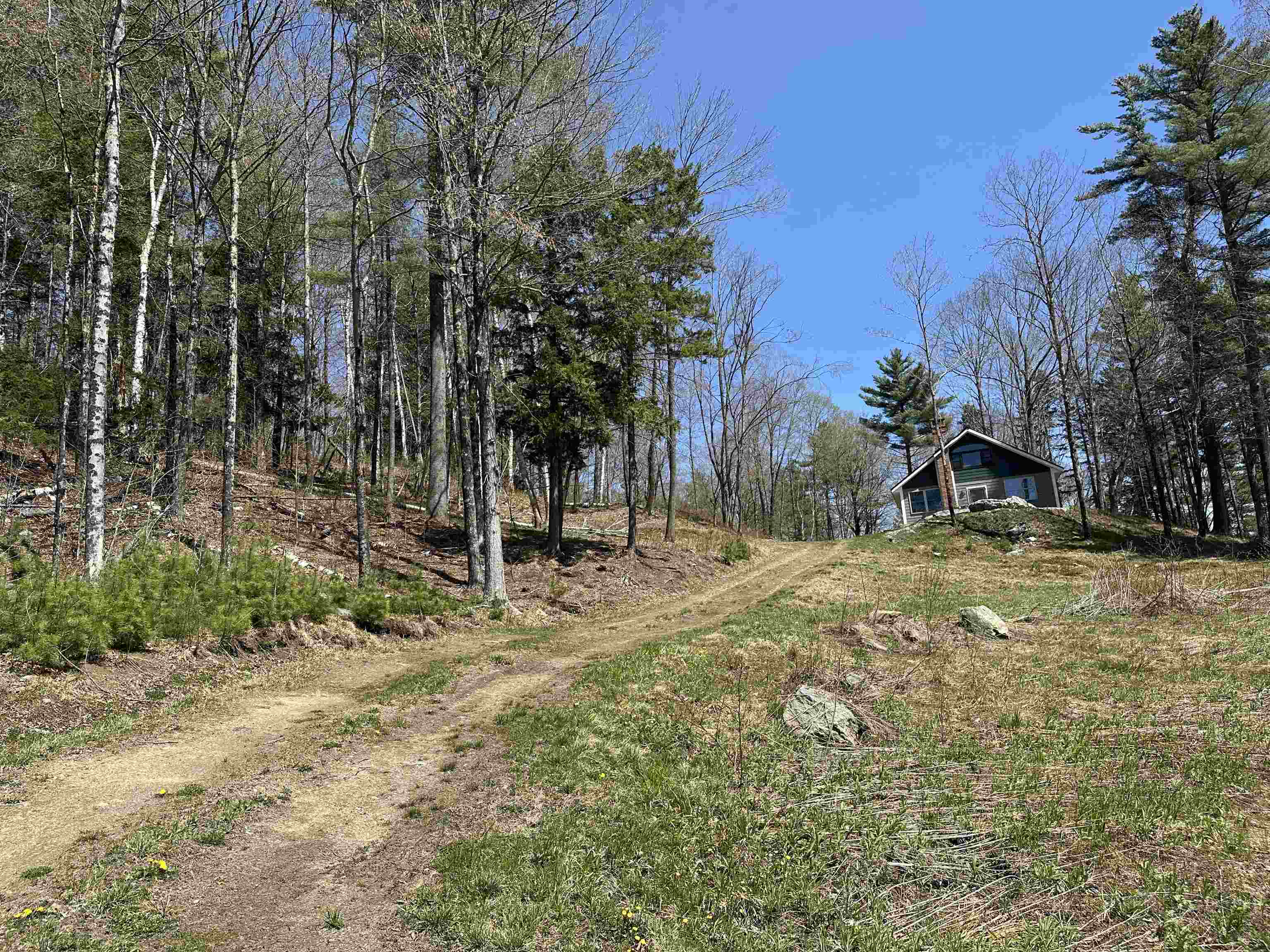 MLS #5050209 image #6