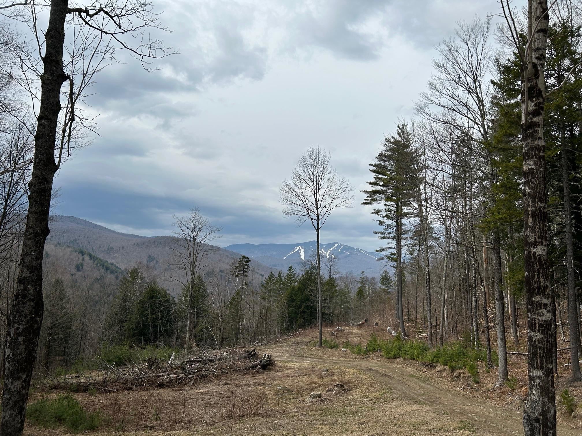 MLS #5050209 image #8