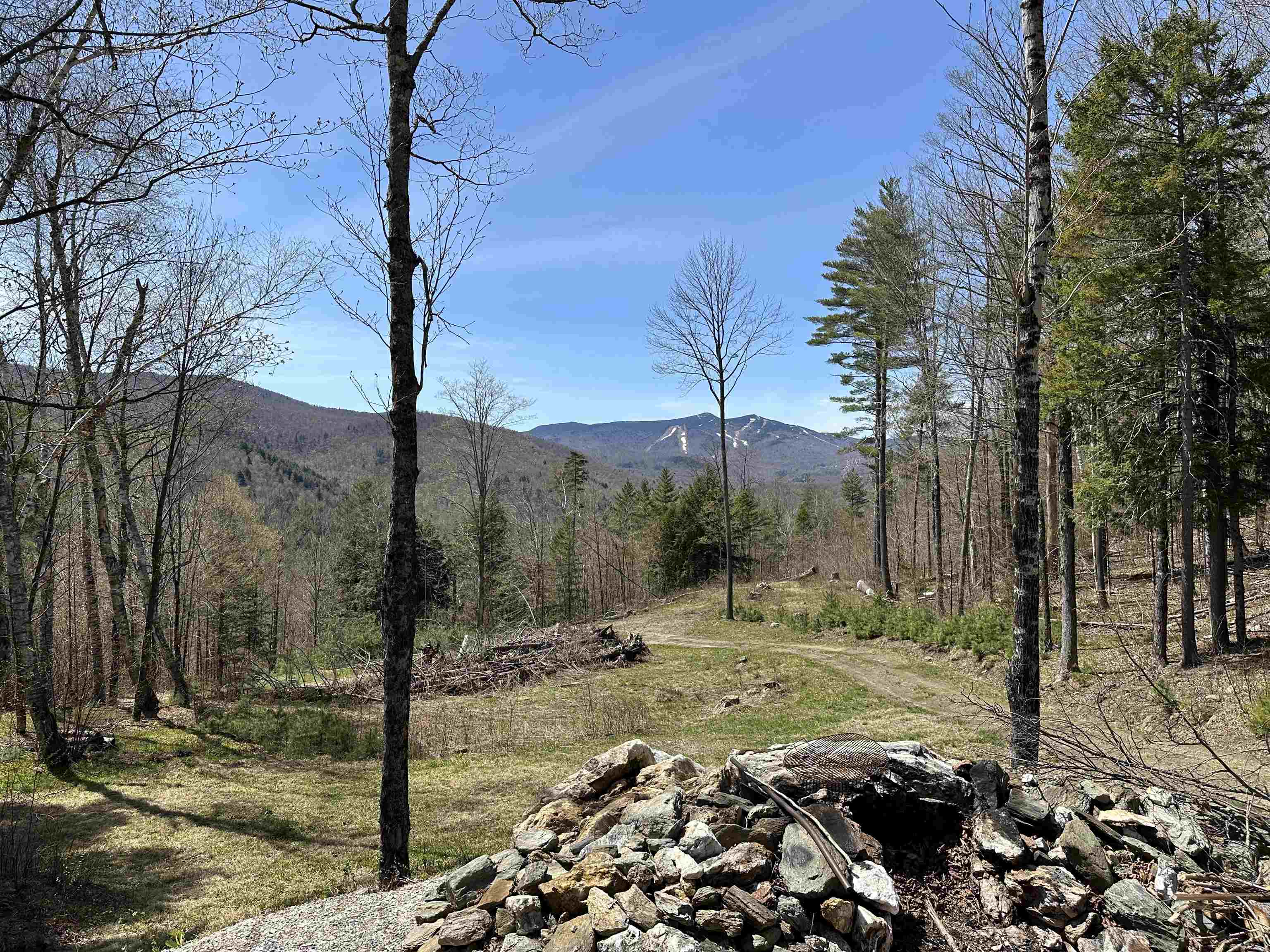 MLS #5050209 image #9