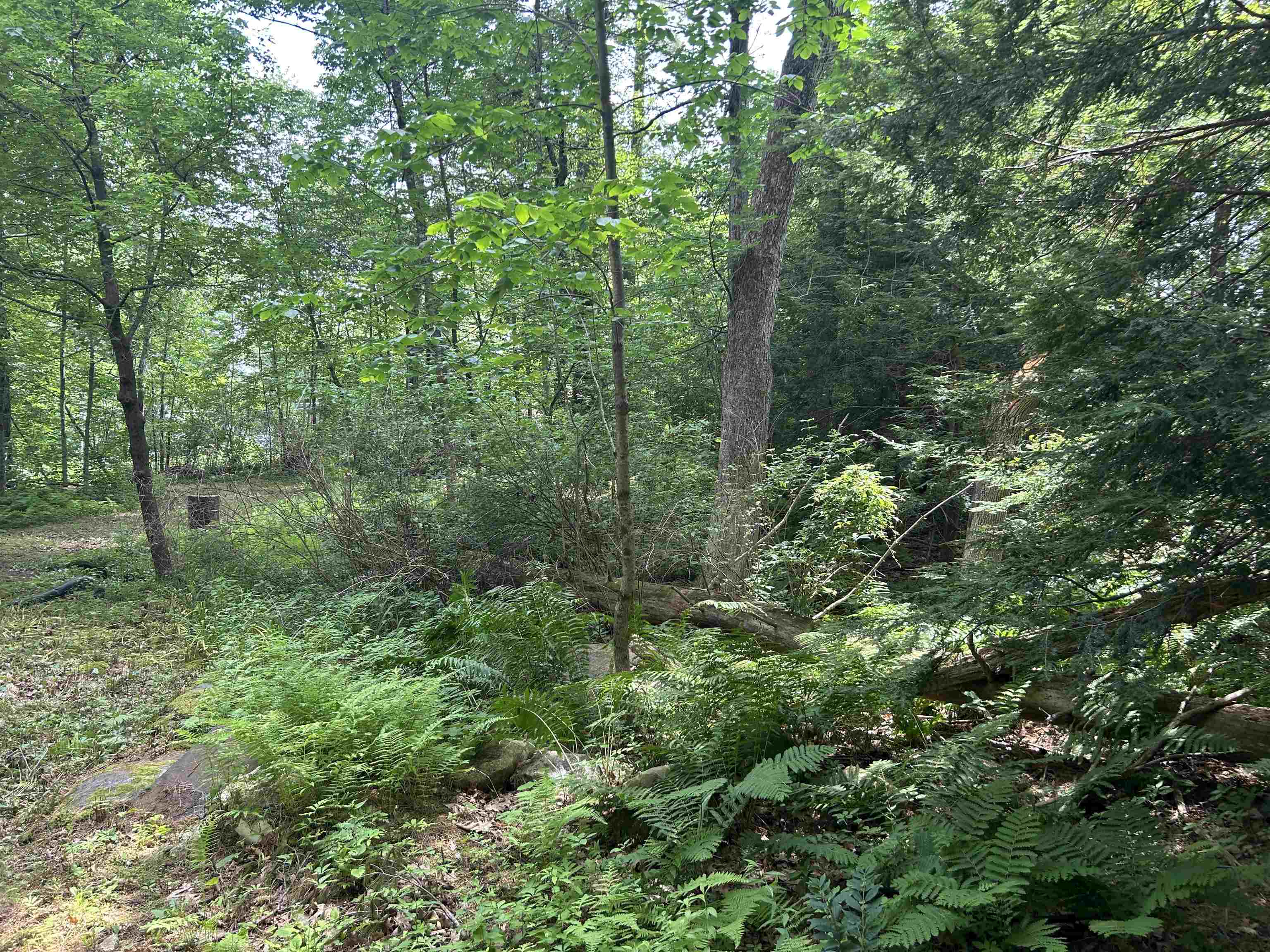 2 S Shore Dr, Pelham, NH 03076