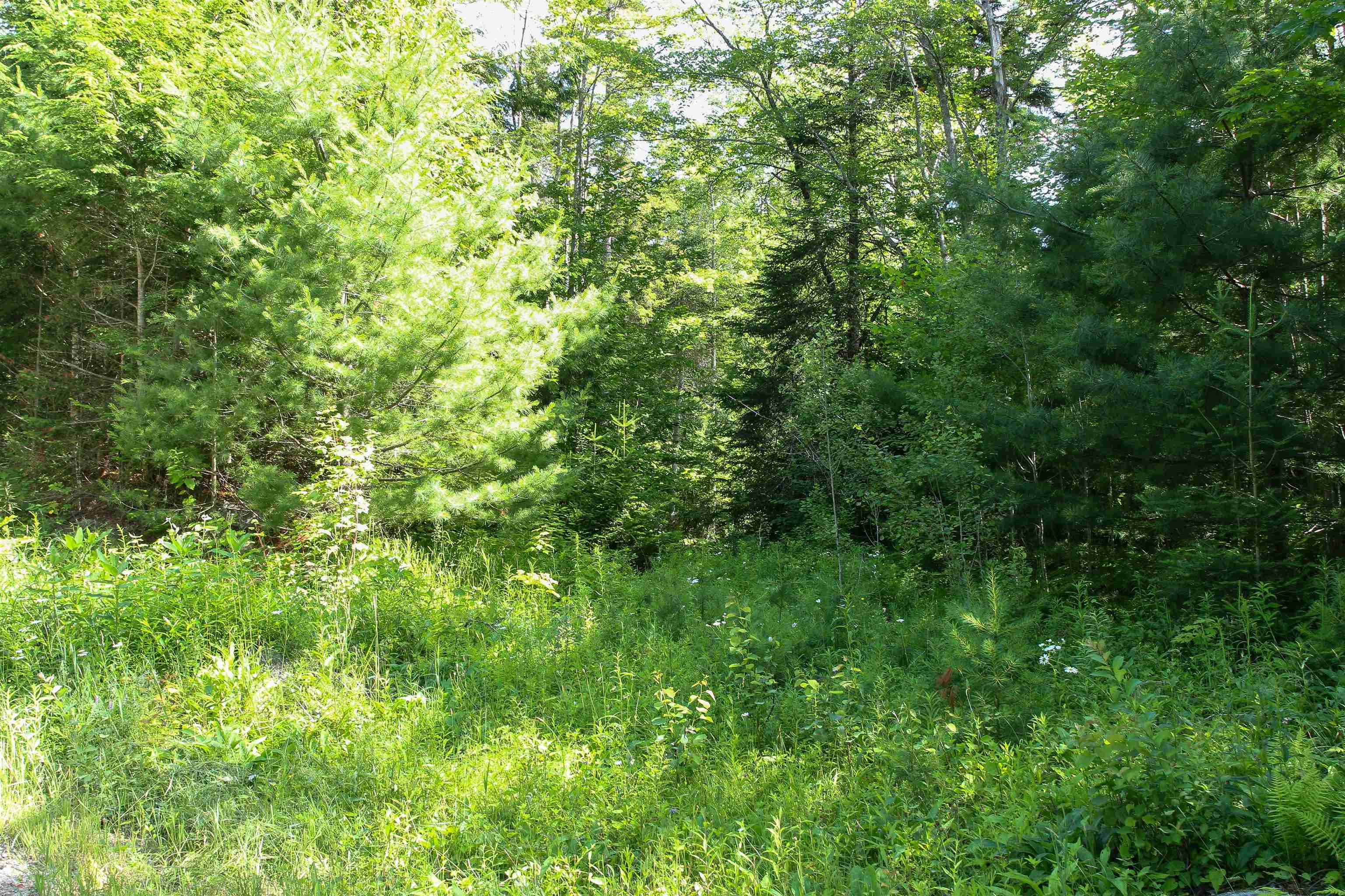 Homes for sale in Londonderry, VT | 00 Boynton Rd, Londonderry, VT 05148 | MLS# 5050245