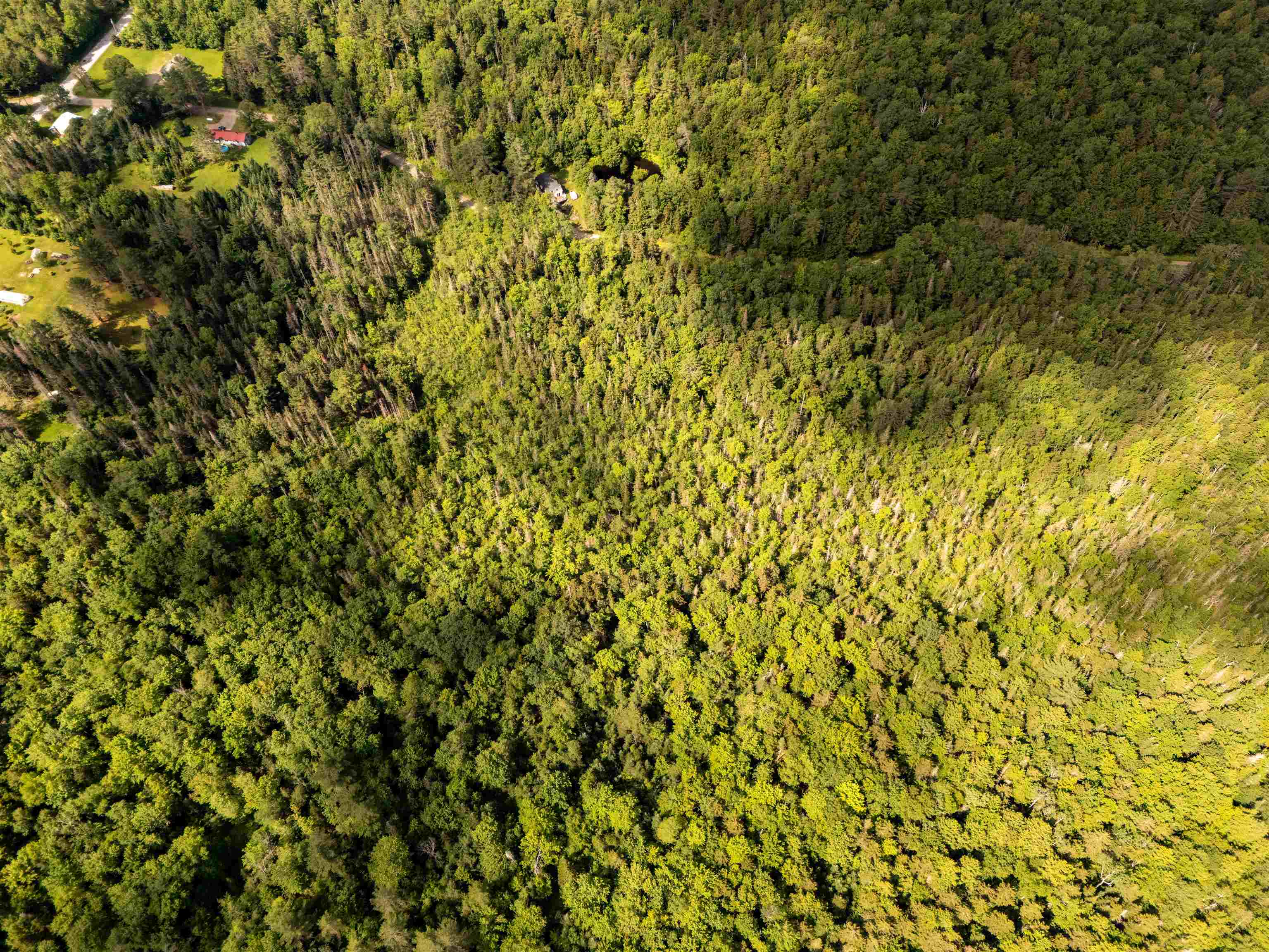 Homes for sale in Londonderry, VT | 00 Boynton Rd, Londonderry, VT 05148 | MLS# 5050245