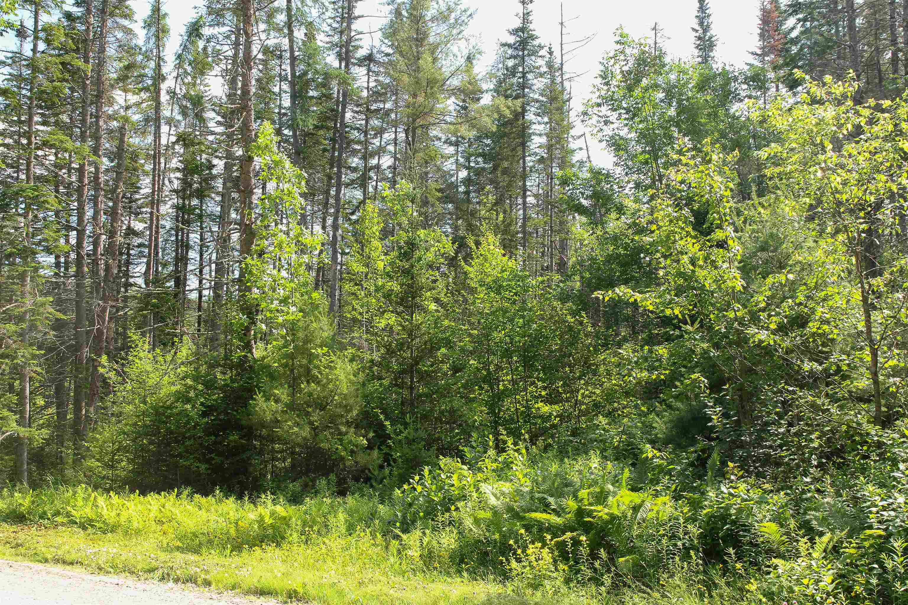 Homes for sale in Londonderry, VT | 00 Boynton Rd, Londonderry, VT 05148 | MLS# 5050245