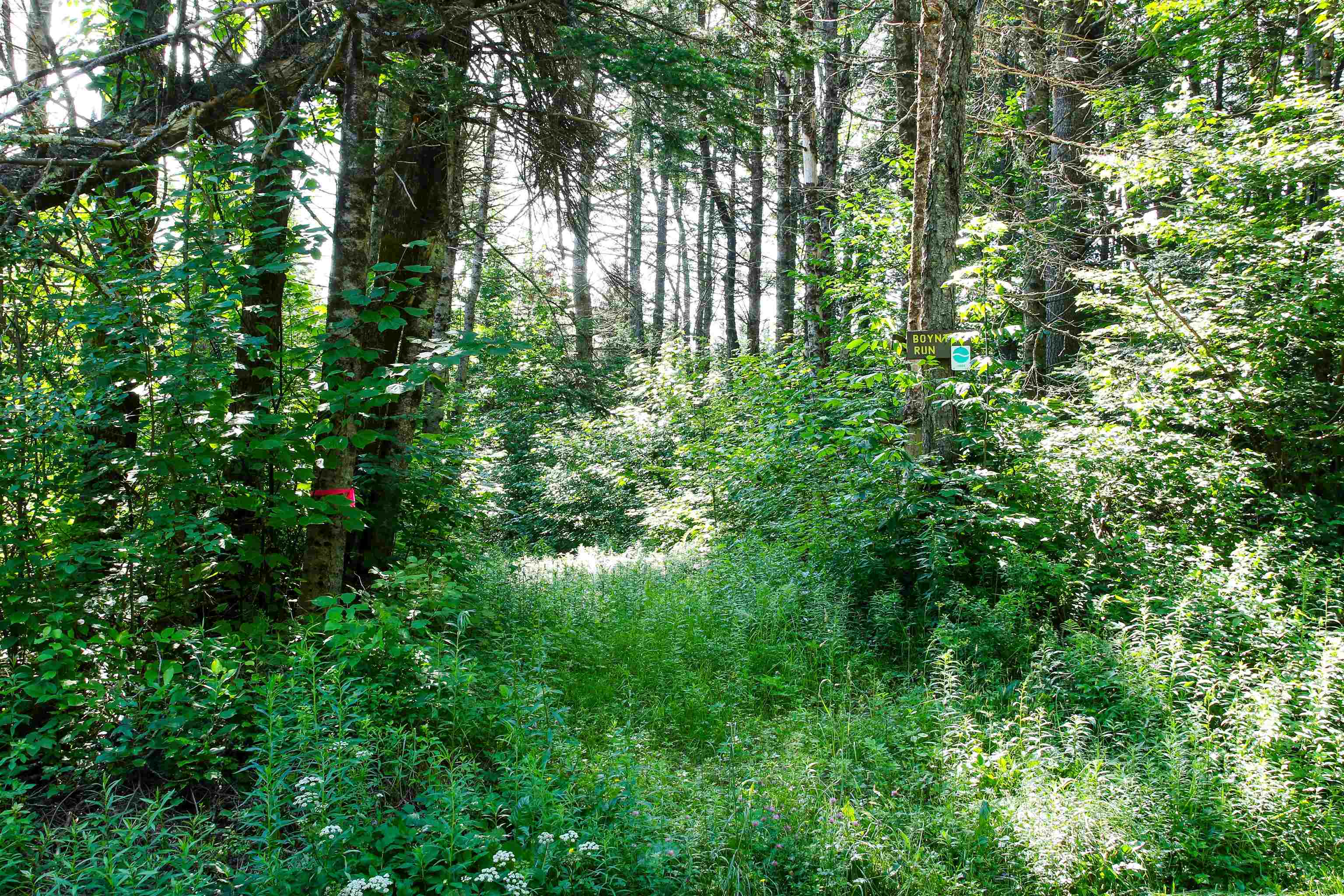 Homes for sale in Londonderry, VT | 00 Boynton Rd, Londonderry, VT 05148 | MLS# 5050245