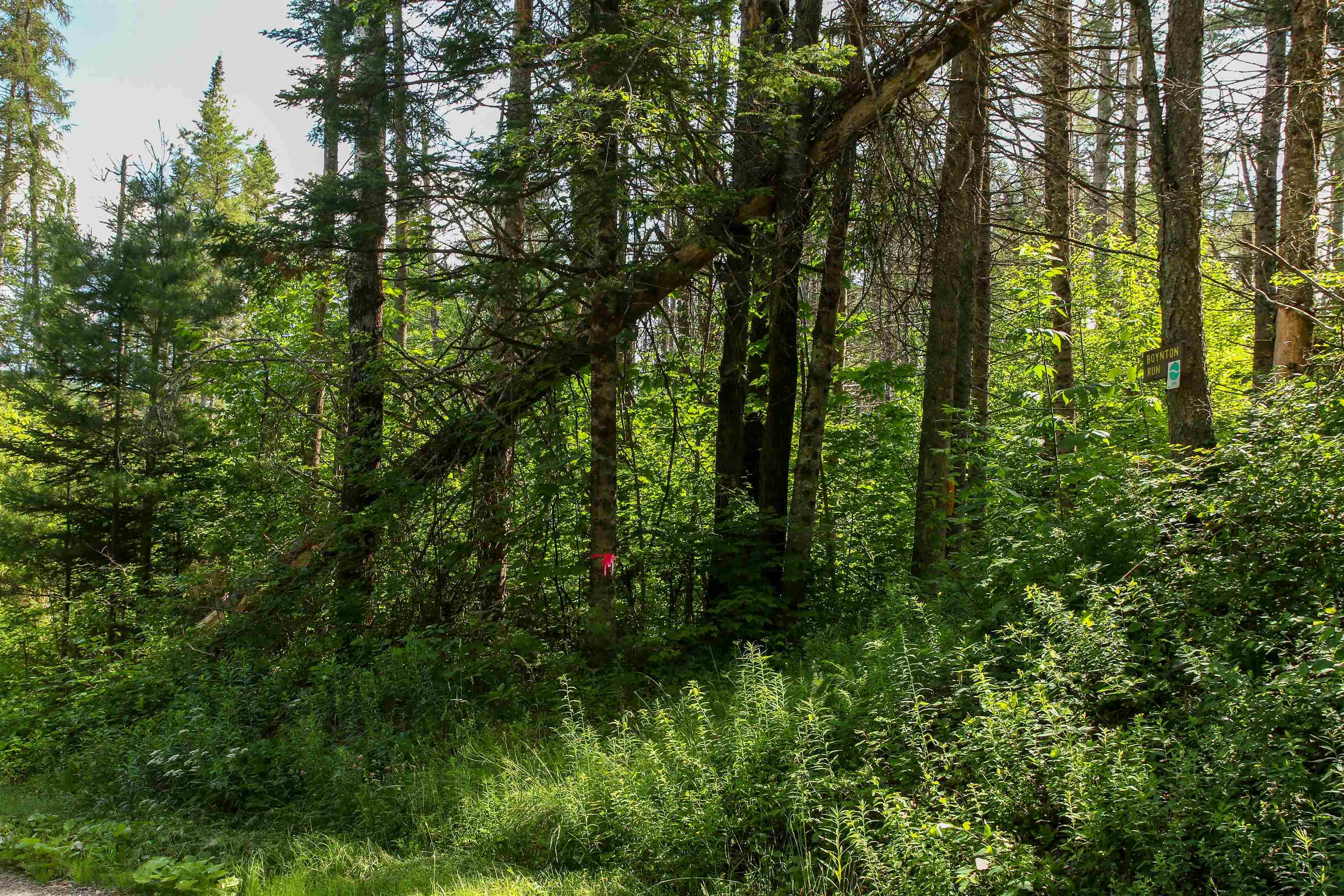 Homes for sale in Londonderry, VT | 00 Boynton Rd, Londonderry, VT 05148 | MLS# 5050245