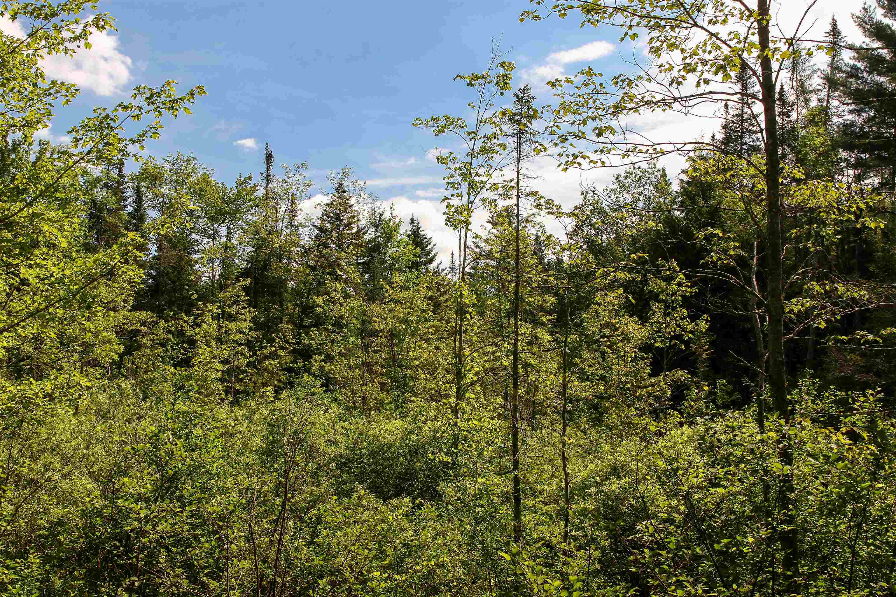 Homes for sale in Londonderry, VT | 00 Boynton Rd, Londonderry, VT 05148 | MLS# 5050245