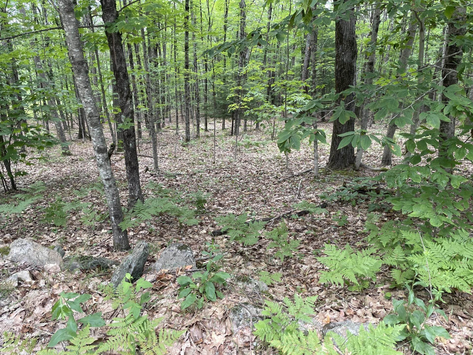 Homes for sale in Barnstead, NH | 956 N Barnstead Rd, Barnstead, NH 03225 | MLS# 5050246