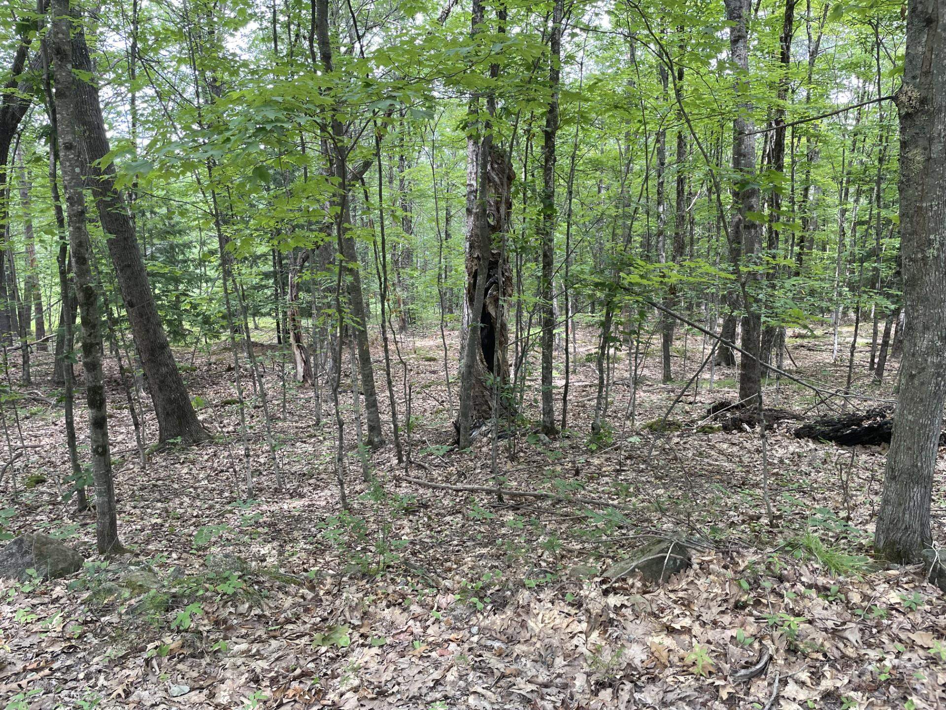 Homes for sale in Barnstead, NH | 956 N Barnstead Rd, Barnstead, NH 03225 | MLS# 5050246