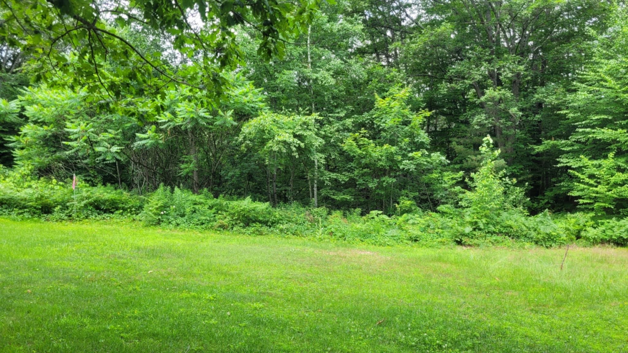 Homes for sale in Ludlow, VT | Gill Terrace Rd, Ludlow, VT 05149 | MLS# 5050286