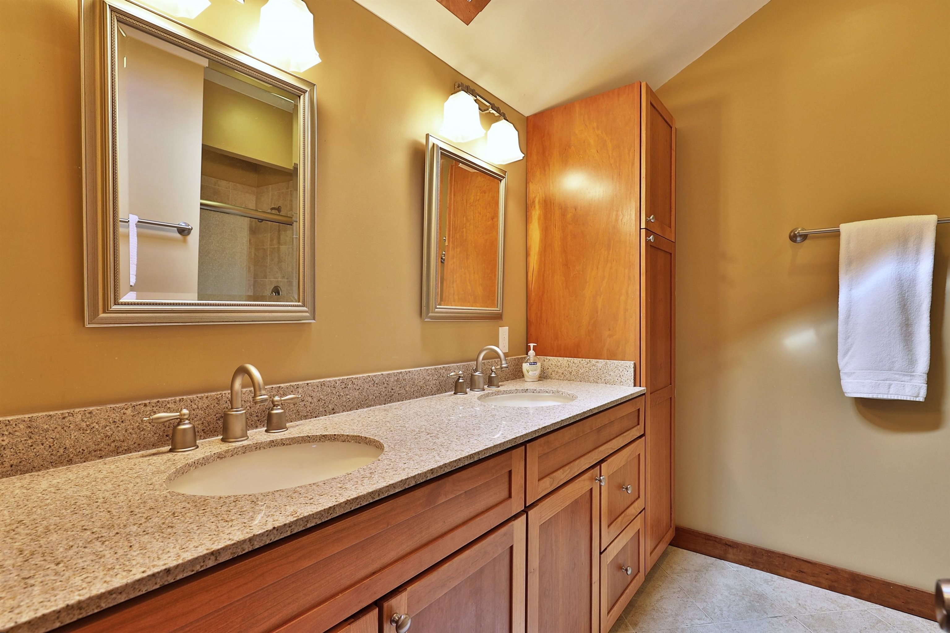 Primary bath 23618266