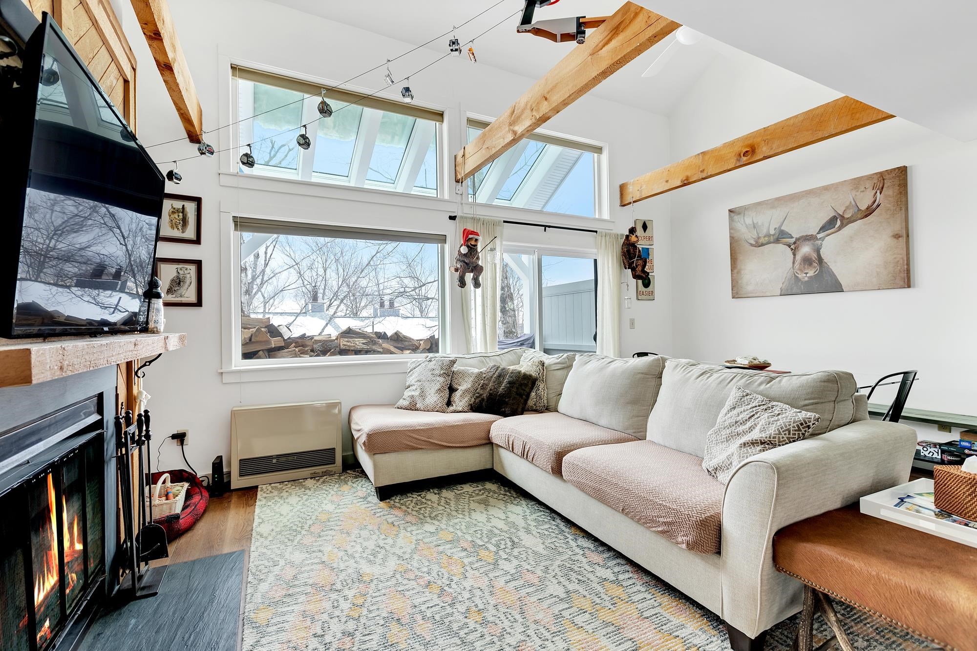 Natural Light 23630403