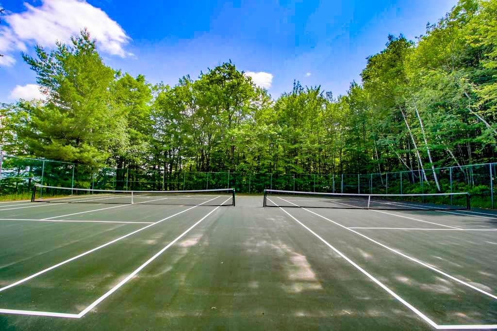 Tennis Anyone 23630440