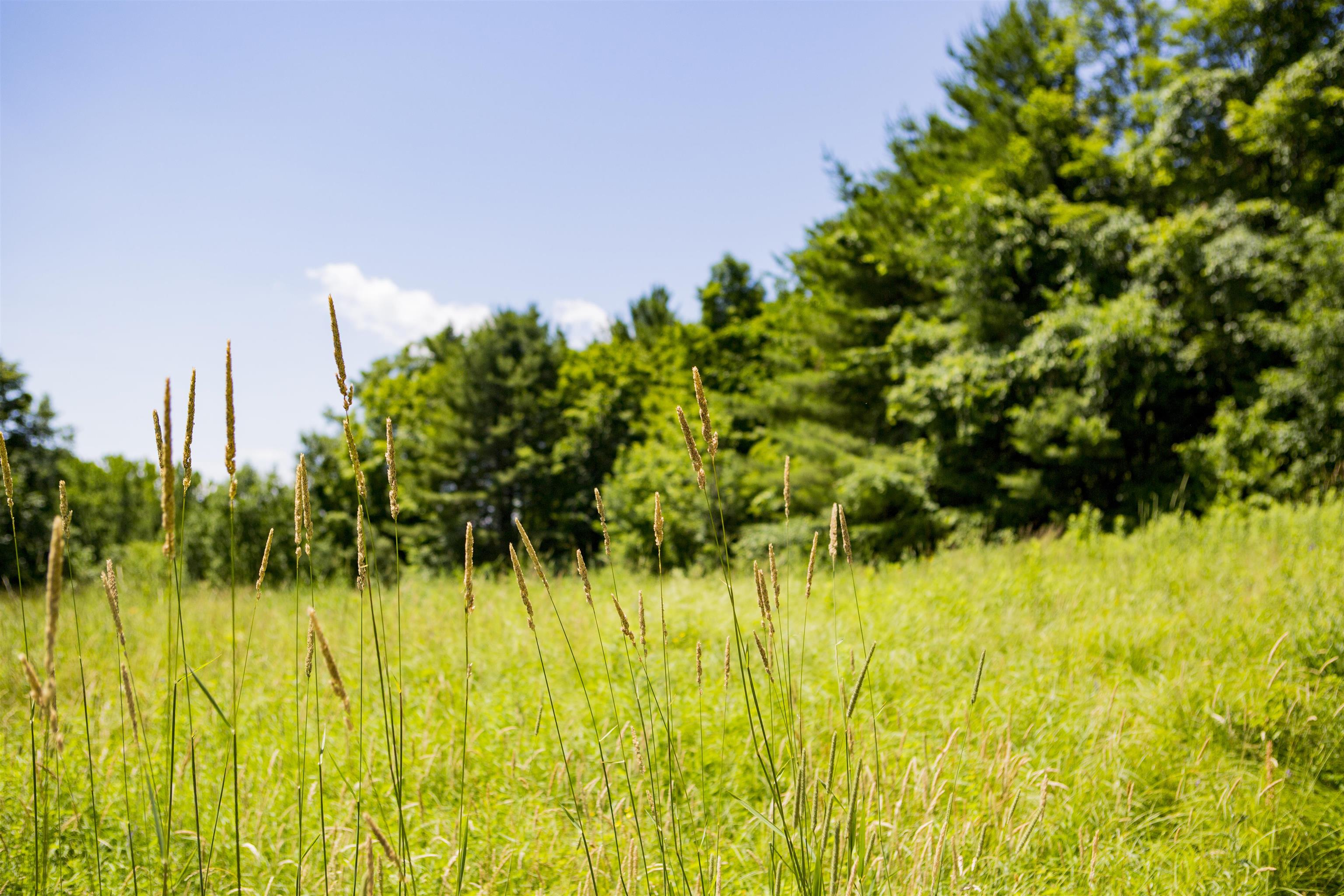 Homes for sale in Charlotte, VT | 3702 Mt Philo Rd, Charlotte, VT 05445 | MLS# 5050921