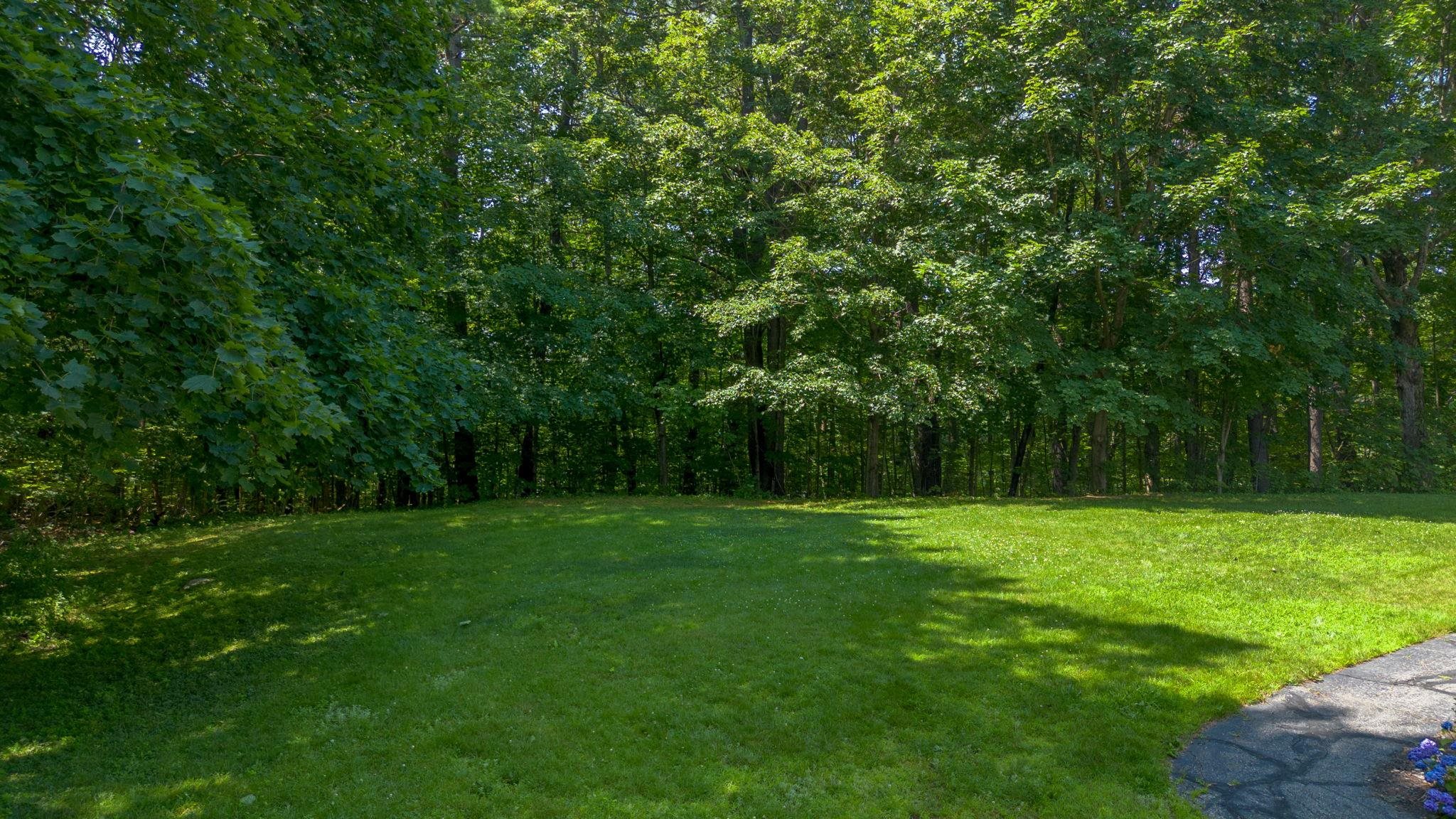 MLS #5050987 image #45