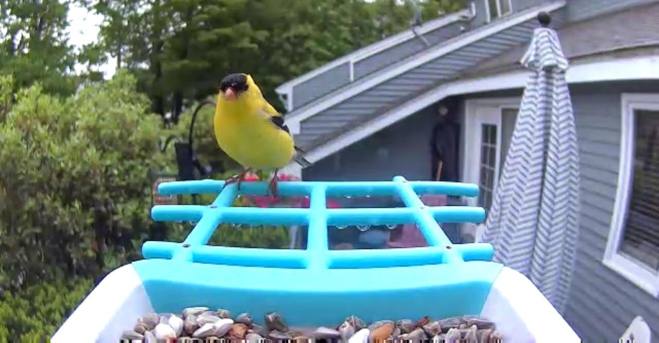 MLS #5050987 image #57