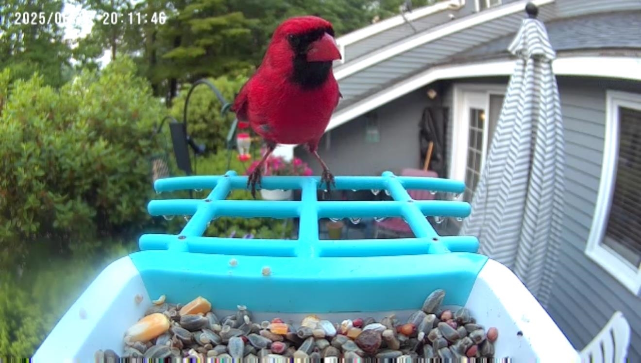 MLS #5050987 image #58