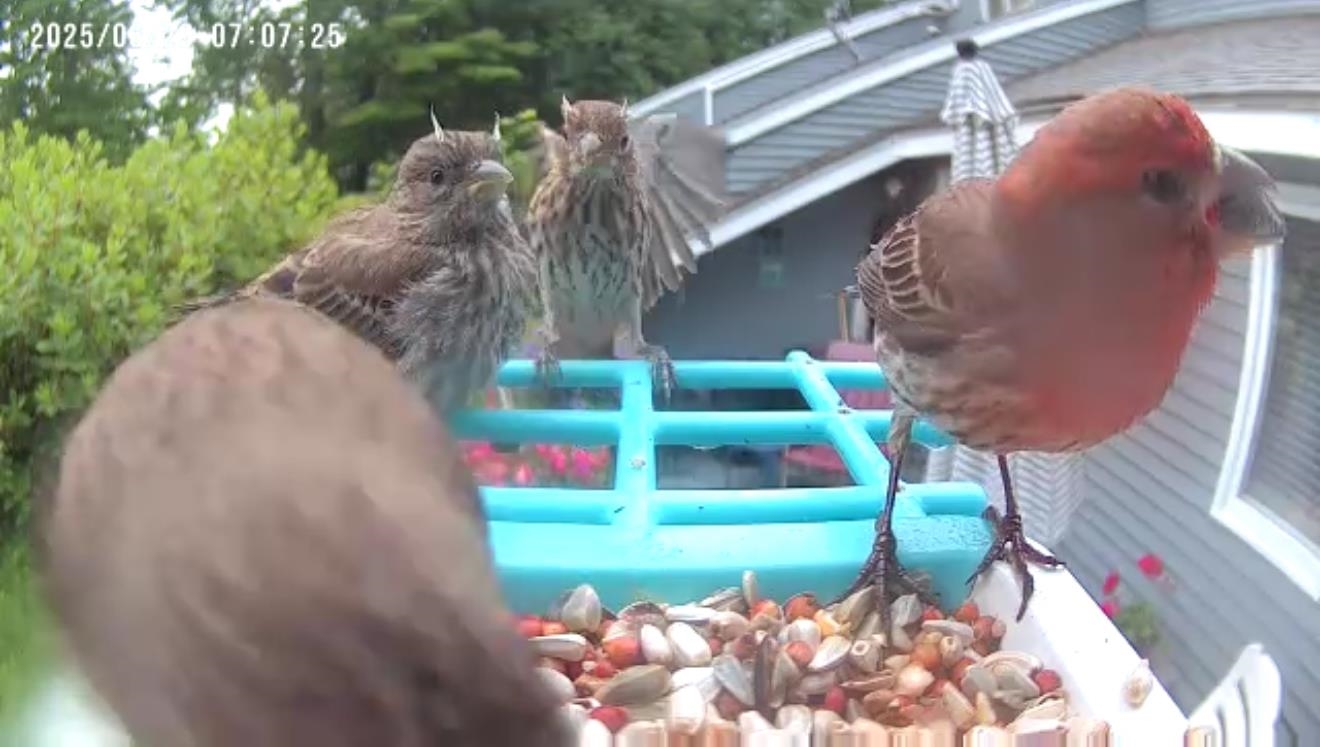 MLS #5050987 image #59