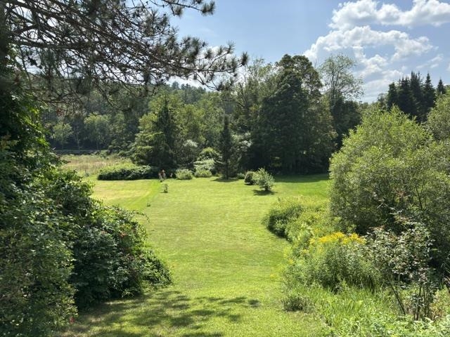 Open yard to the tree line