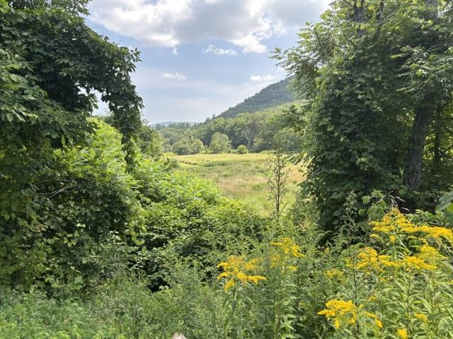 View from edge of driveway