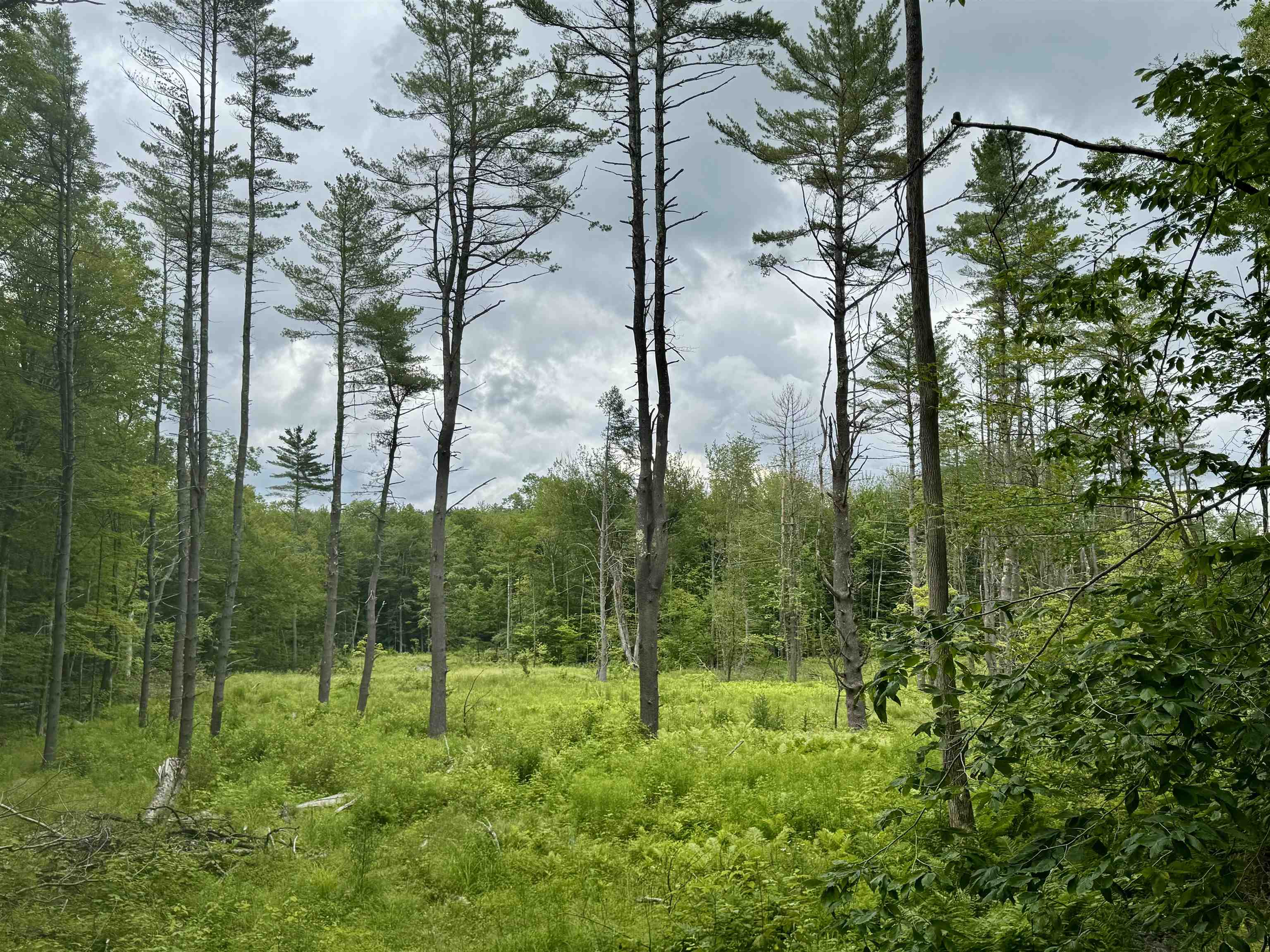 Homes for sale in Acworth, NH | 315 Gove Rd, Acworth, NH 03601 | MLS# 5051009