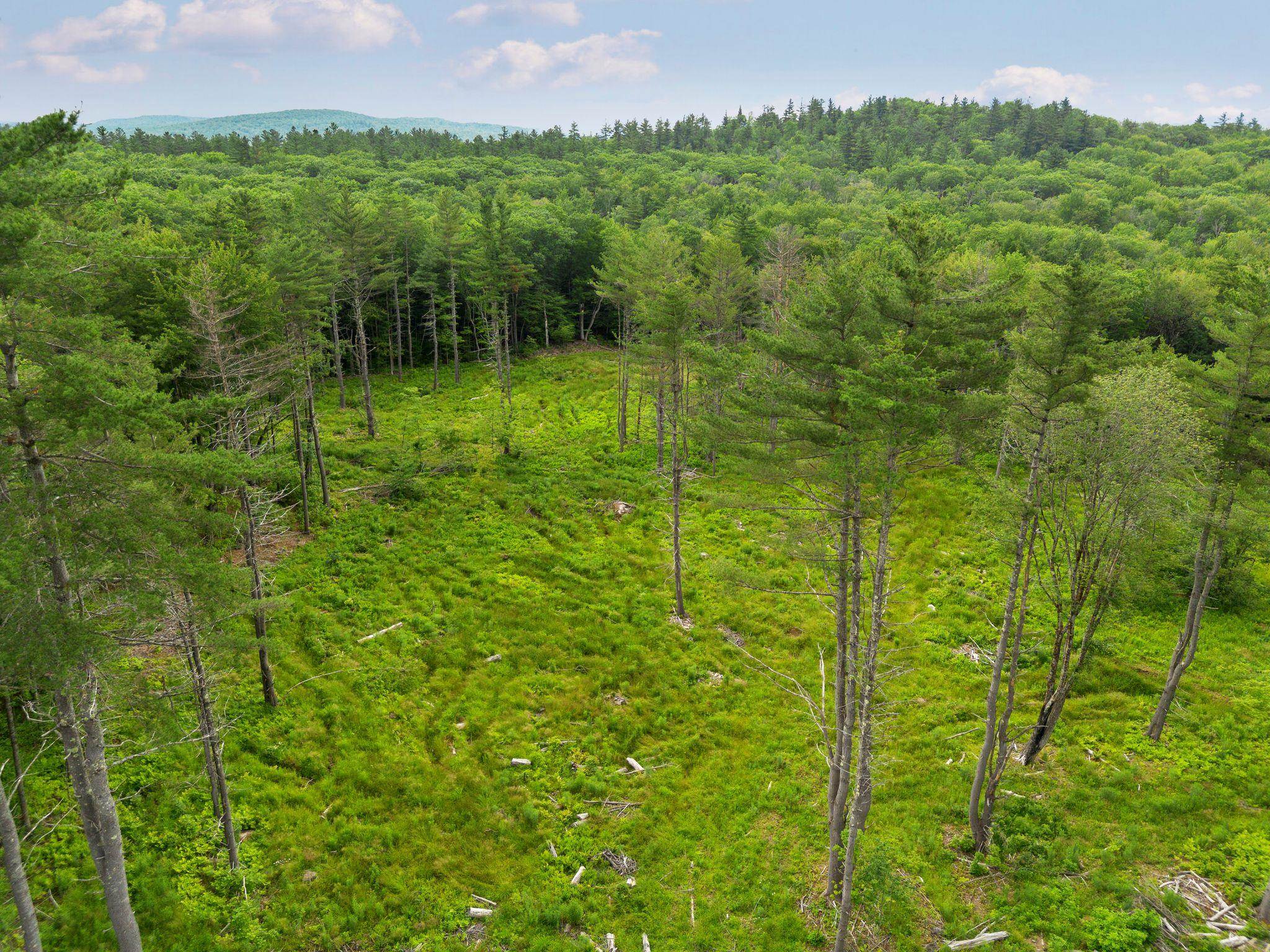 Homes for sale in Acworth, NH | 315 Gove Rd, Acworth, NH 03601 | MLS# 5051009