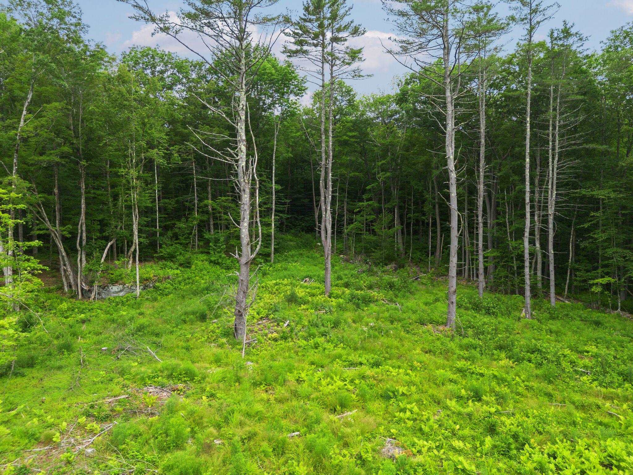 Homes for sale in Acworth, NH | 315 Gove Rd, Acworth, NH 03601 | MLS# 5051009