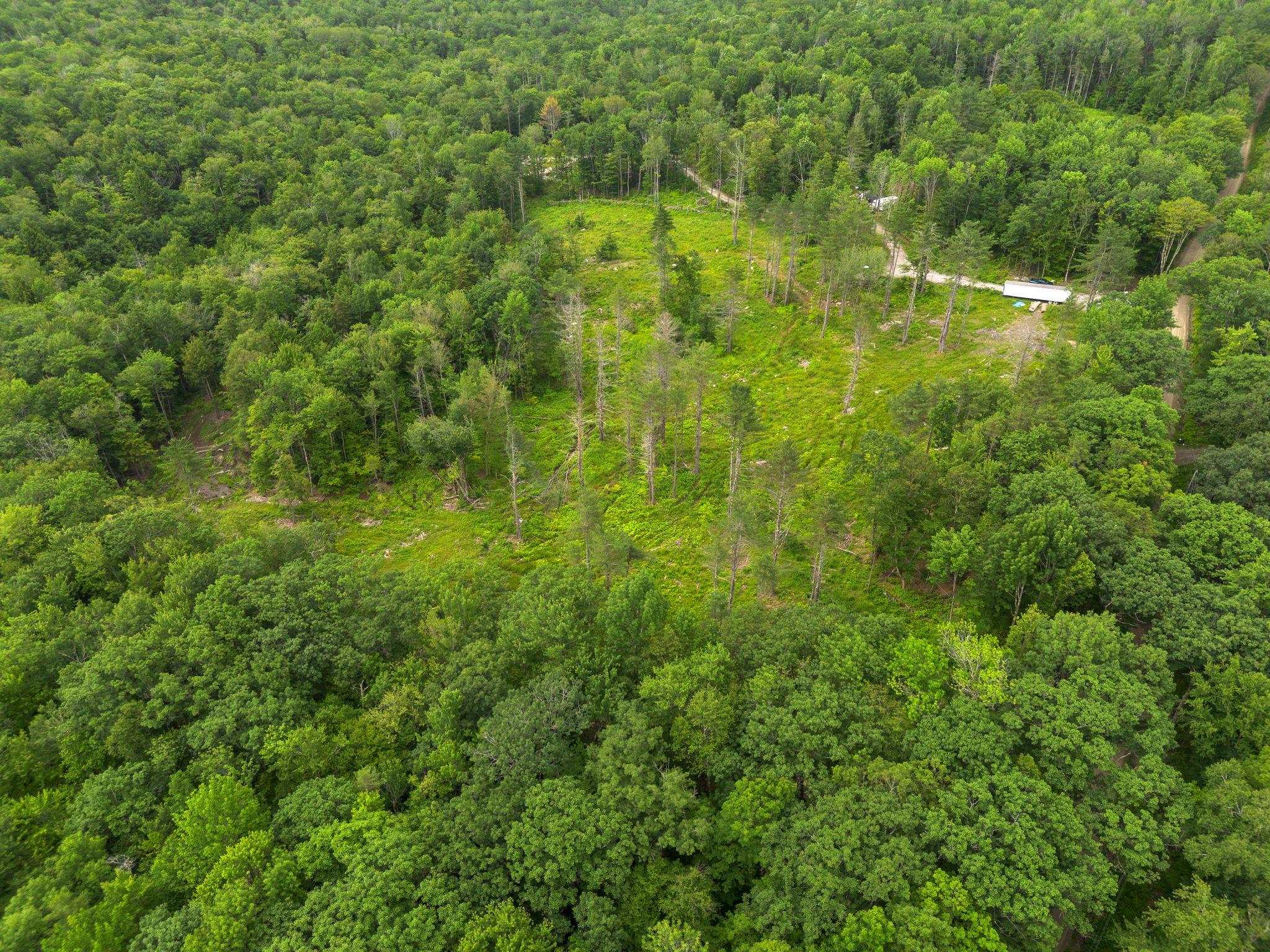 315 Gove Rd, Acworth, NH 03601