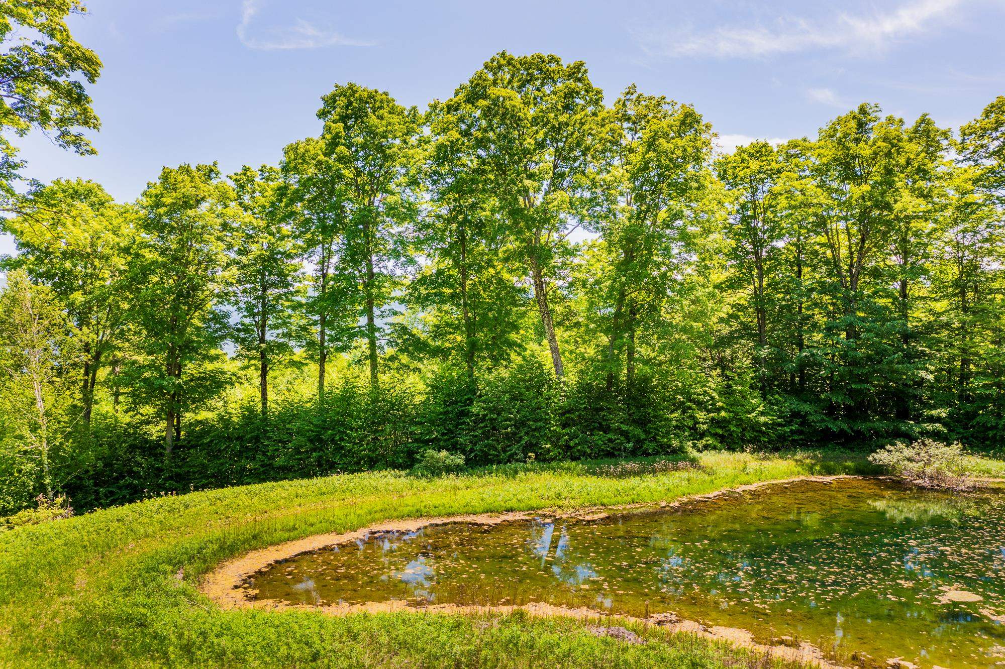 A Windsor Rd, Manchester, VT 05255