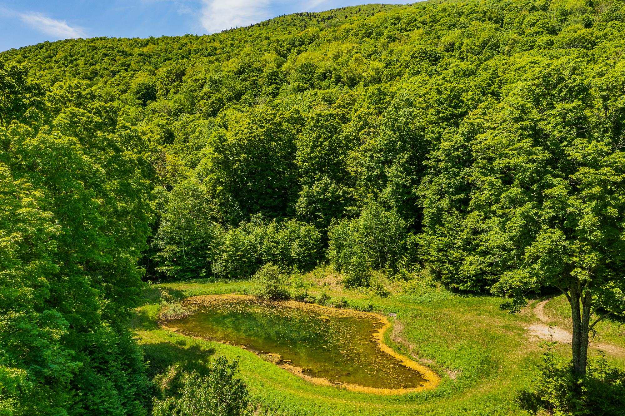 Homes for sale in Manchester, VT | A Windsor Rd, Manchester, VT 05255 | MLS# 5051011