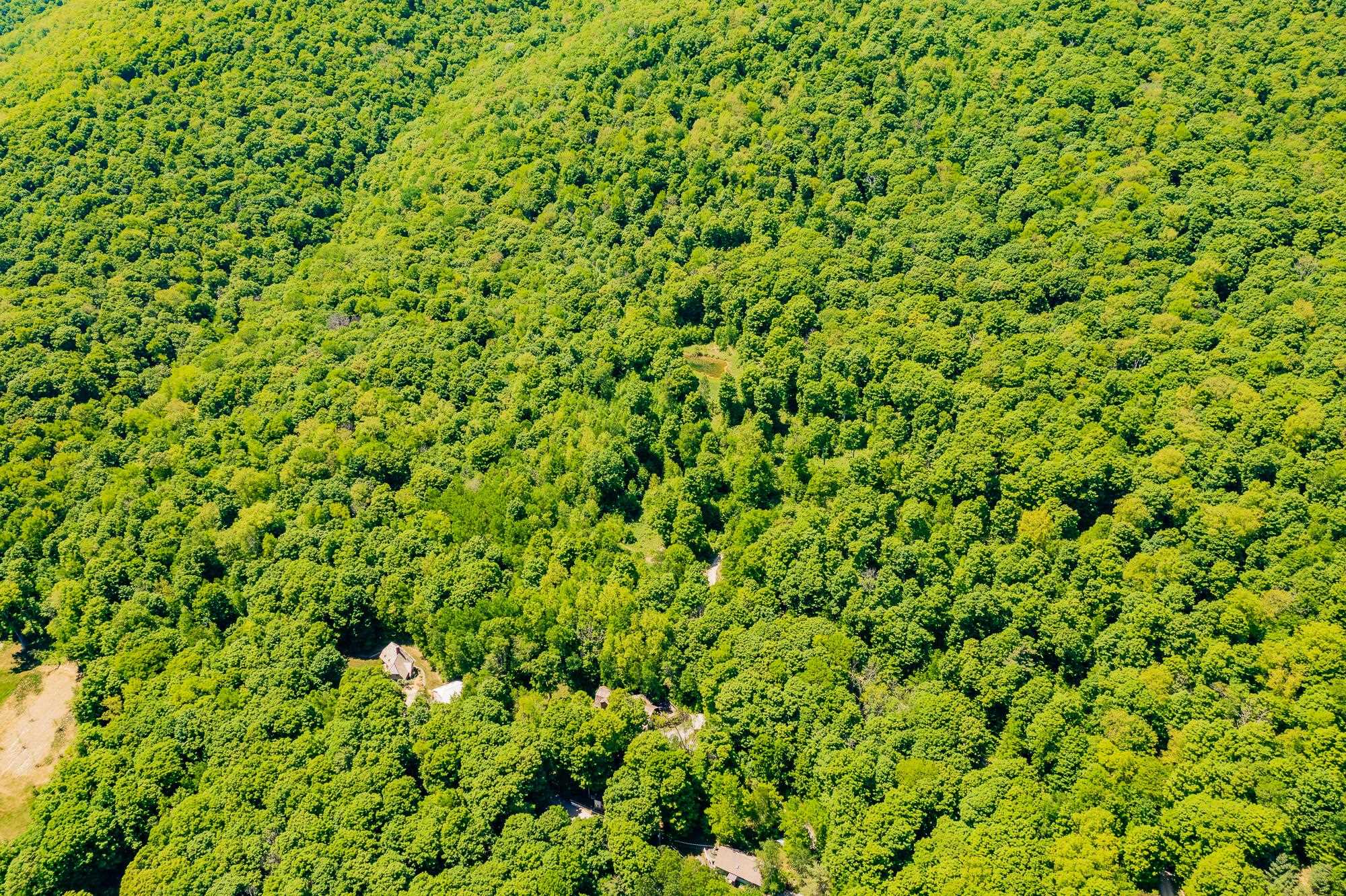 Homes for sale in Manchester, VT | A Windsor Rd, Manchester, VT 05255 | MLS# 5051011