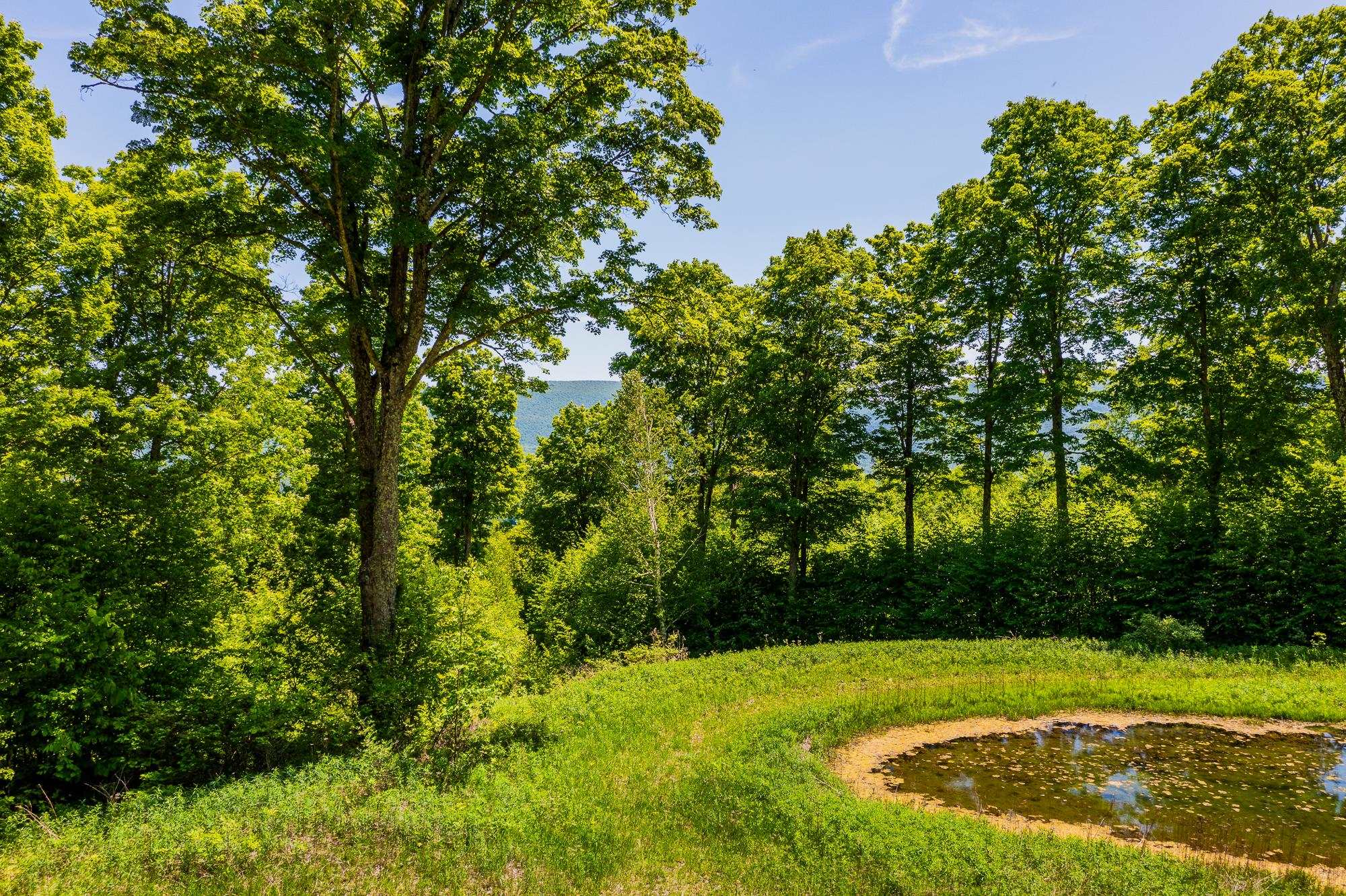 Homes for sale in Manchester, VT | A Windsor Rd, Manchester, VT 05255 | MLS# 5051011