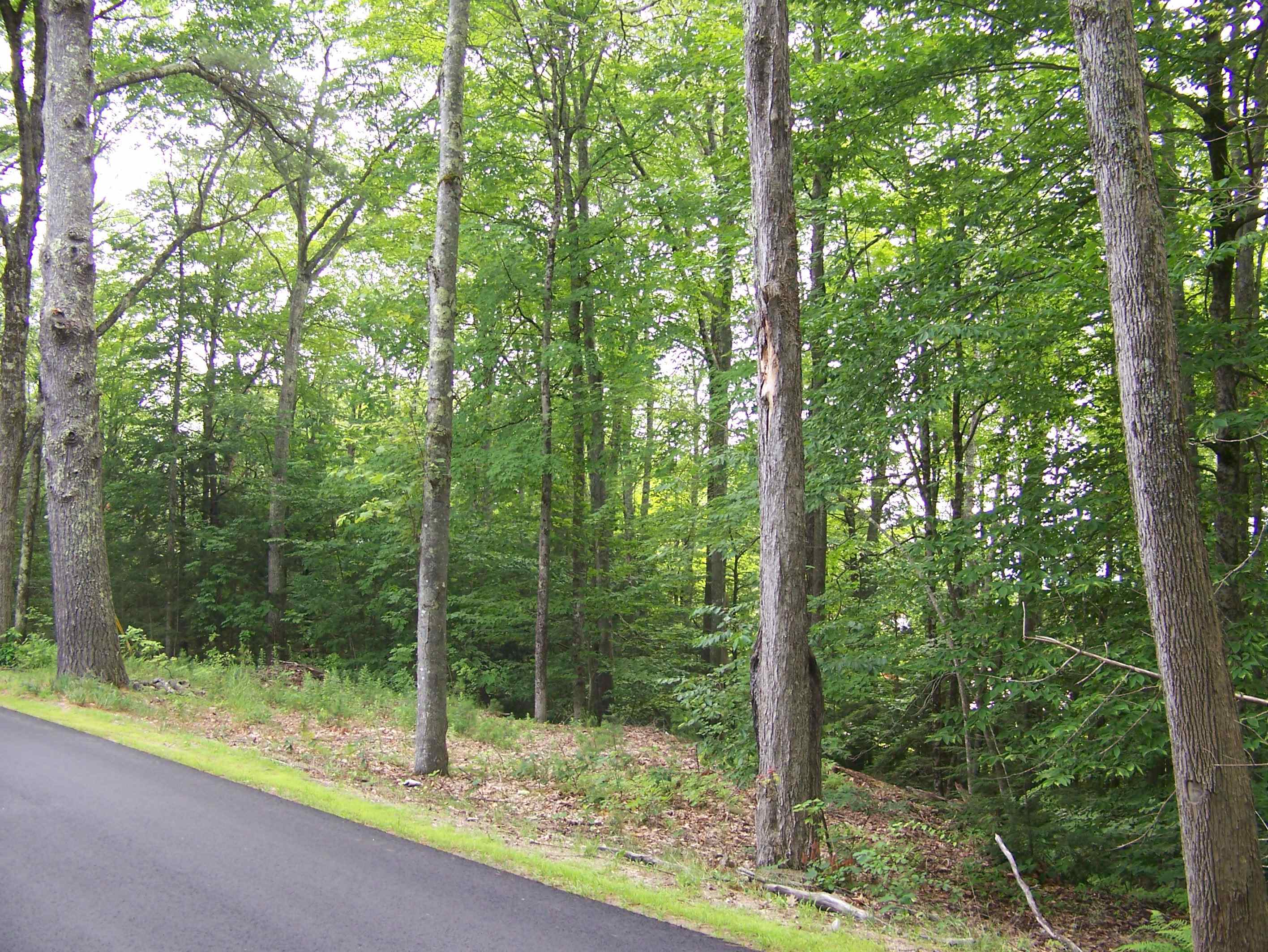 0 Ledge Hill Rd, Tuftonboro, NH 03816