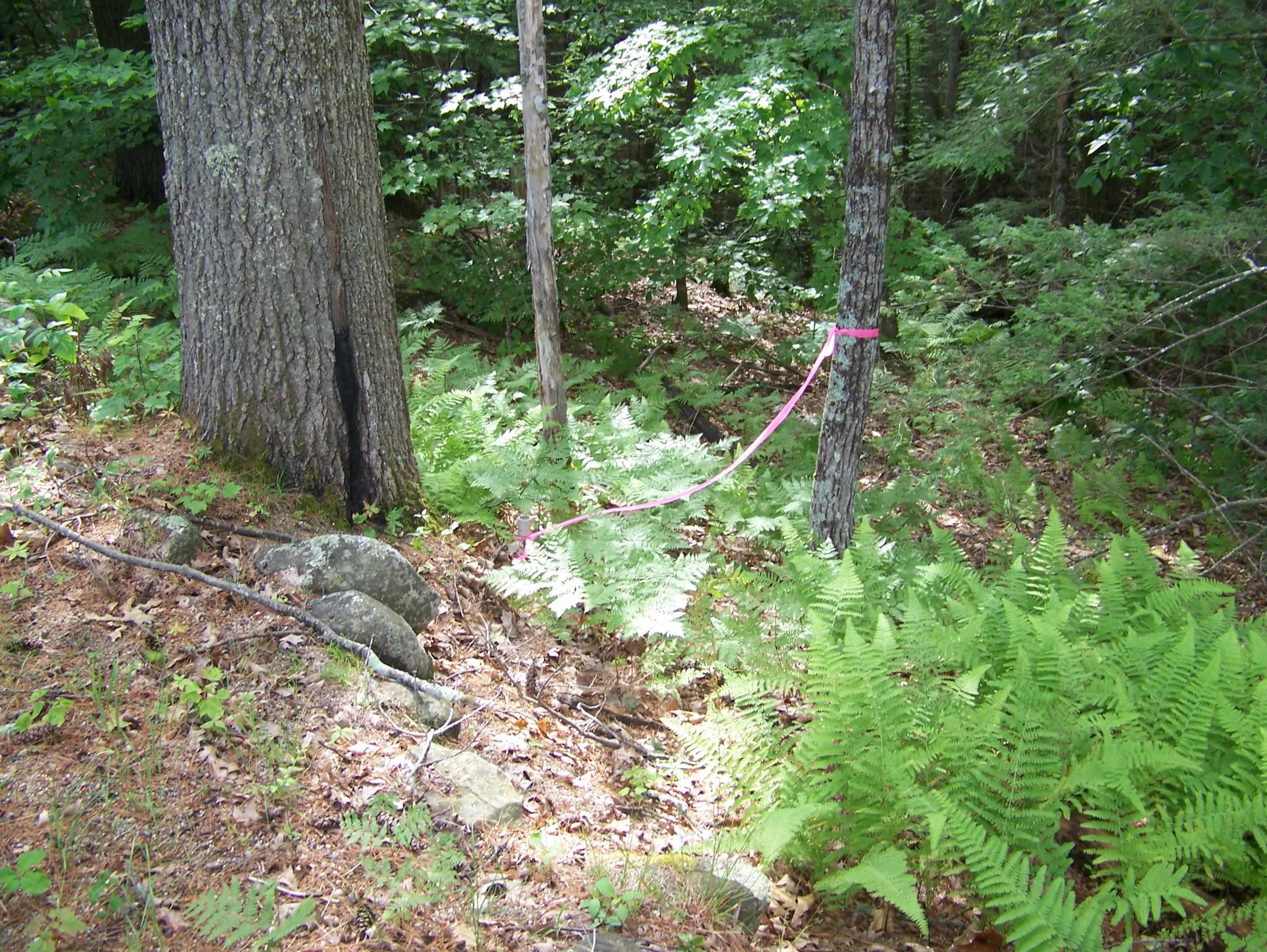 0 Ledge Hill Rd, Tuftonboro, NH 03816