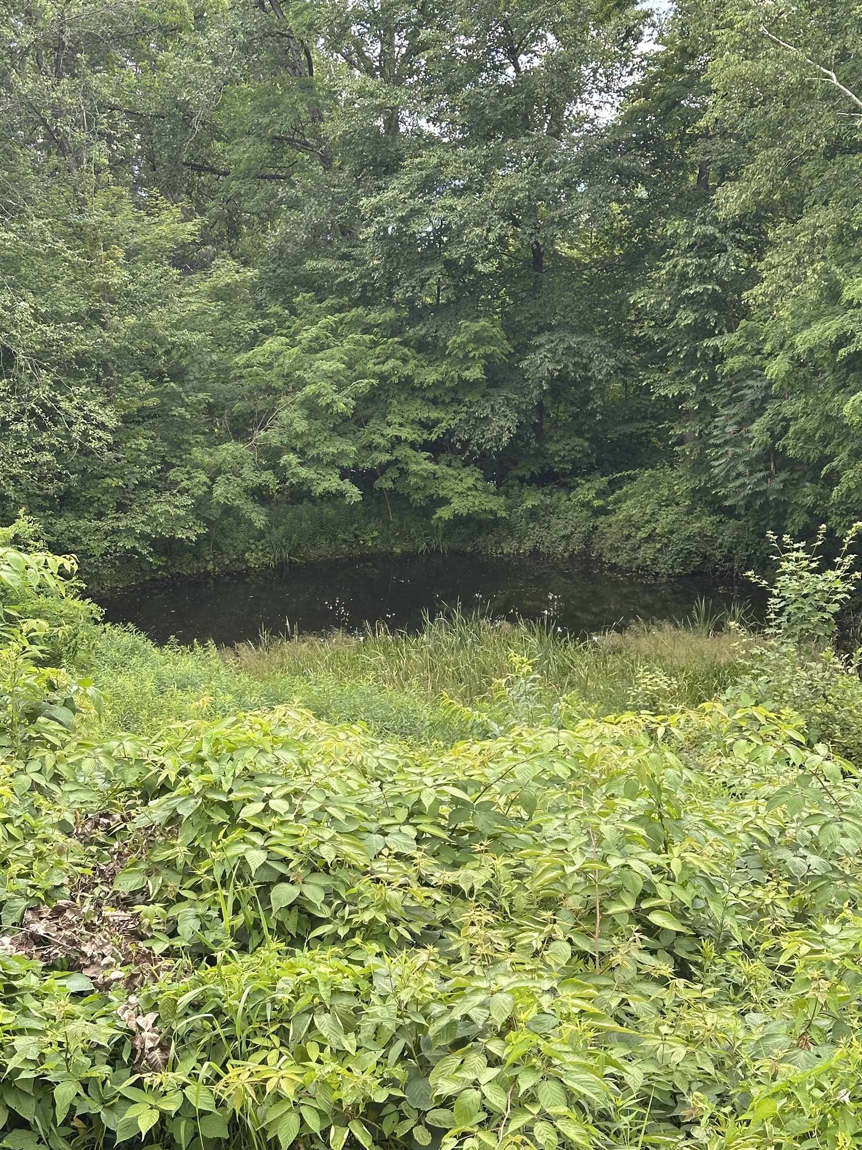 Homes for sale in Danby, VT | 2114 Lilly Hill Rd, Danby, VT 05739 | MLS# 5051047